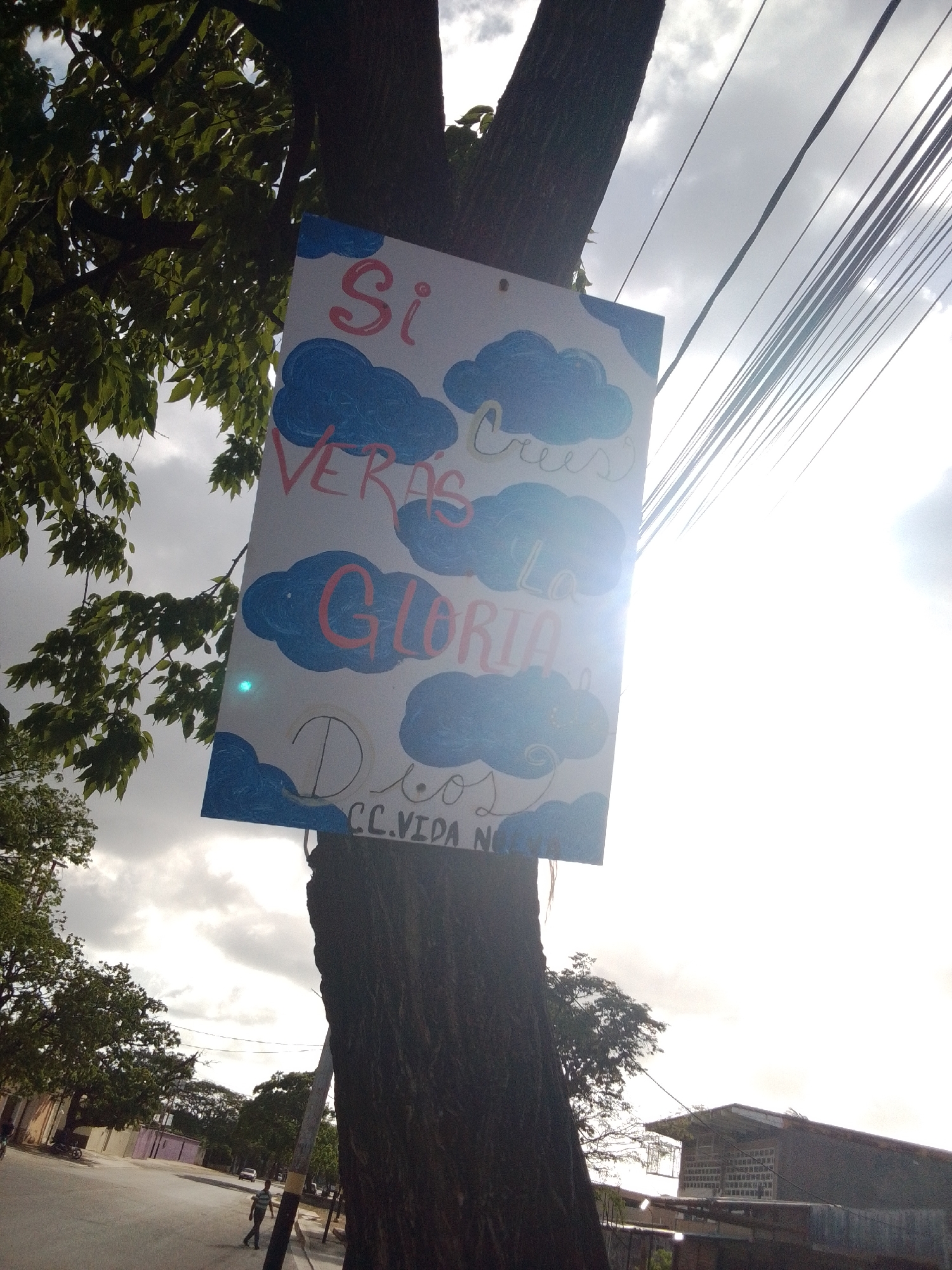 In Altagracia, Venezuela, a handmade sign is attached to a tree trunk, angled towards the camera. The sign, painted with blue clouds and pink text, reads "Si crees veras la gloria de Dios, CC. Vida Nueva." The sun is bright, creating lens flare on the sign and washing out the sky. The sign is positioned next to a tree with green leaves, and in the background, there are power lines, houses, and a street with a few people and vehicles.