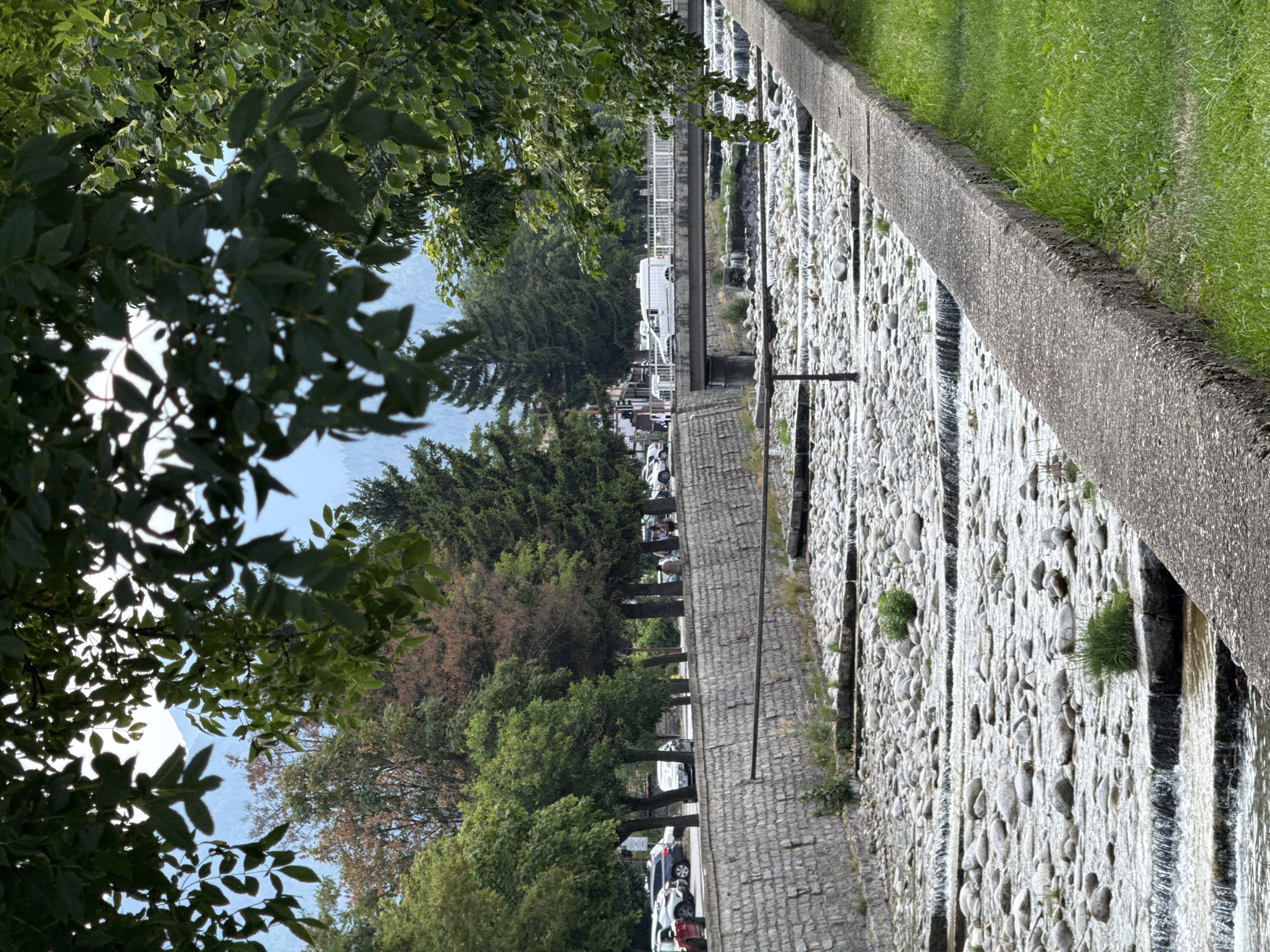 The image shows a view of the Glazne River flowing through Bansko, Bulgaria. The riverbed is filled with smooth, grey stones and appears shallow with small cascades. The river is bordered by a concrete embankment on the right and a stone wall on the left. Beyond the stone wall, a row of trees lines a street where several parked cars are visible, including a red car and a silver car. Further in the background, a white van is seen driving across a bridge. The trees in the background are a mix of green deciduous and coniferous varieties. In the foreground, branches with green leaves partially obscure the view. The sky is overcast, and the overall lighting suggests it is daytime.