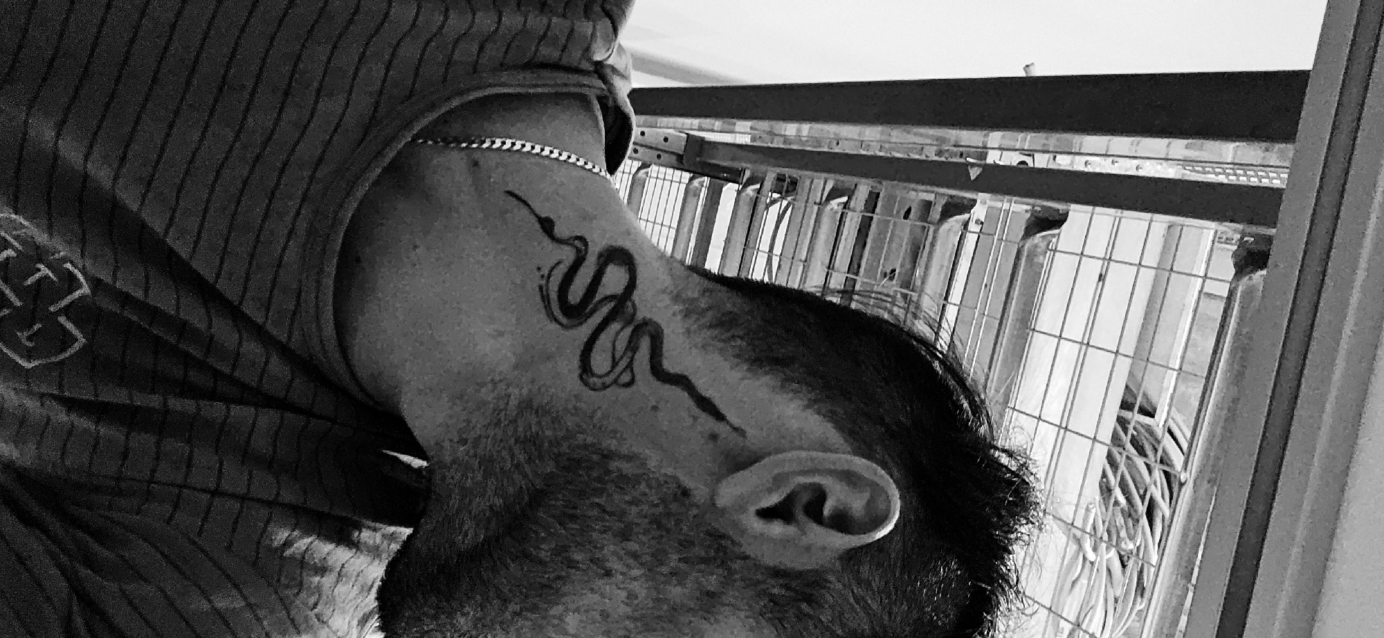 This black and white image, oriented sideways, displays a person's profile, focusing on the side of their head, neck, and upper shoulder. The individual, likely male, has short, dark hair on the top and back of their head, with stubble or a short beard along their jawline and neck. A prominent black snake tattoo is inked on the side of their neck, curving from just below the ear down towards the Adam's apple area. A thin, silver-colored chain necklace is visible around their neck.
The person is wearing a dark, striped shirt or top, which appears to be made of a textured fabric. A faint, abstract design or logo, with indistinct shapes resembling stylized letters, can be seen on the upper left shoulder area of the garment. The background consists of a complex, grid-like metal structure, possibly a fence, shelving, or part of an industrial setup, with bars and grating visible. Through this structure, various lighter-toned objects, potentially pipes, cables, or other equipment, are vaguely discernible.
The overall setting appears to be an indoor or semi-enclosed environment, possibly utilitarian or industrial. The image is a still capture, offering no clues about specific activities or emotions, as the person's face is not visible. This scene is located in Plovdiv, Bulgaria.