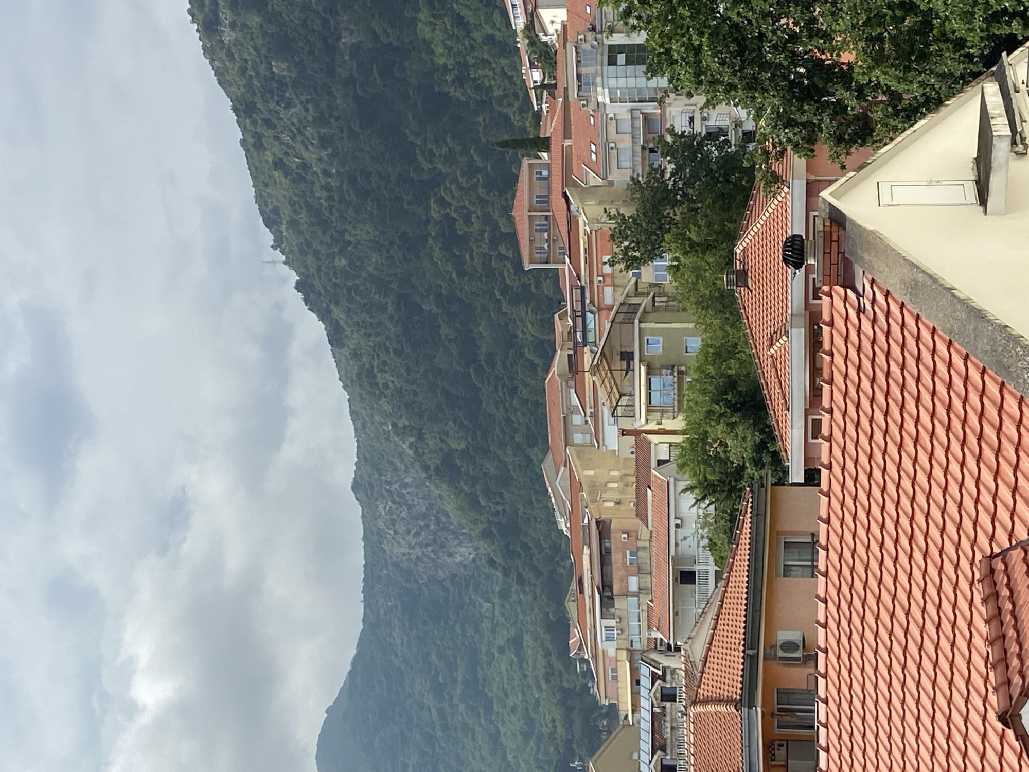The image captures a panoramic view of a coastal or mountainous town, specifically Budva, Montenegro. In the foreground and midground, numerous buildings are densely packed, characterized by their prominent reddish-orange tiled roofs. These structures vary in height and design, some featuring balconies and multiple windows, while several air conditioning units are visible on their exterior walls. Green trees are interspersed throughout the urban landscape, adding patches of foliage between the buildings.
Dominating the background and extending from the left to the center of the frame is a large, steep mountain or hill. It is densely covered in lush green vegetation, appearing heavily forested. The sky above the town and mountain is overcast with soft, grey clouds, indicating a cloudy but bright daytime, likely morning or afternoon, with diffused light.
Upon closer inspection, a small, faint airplane can be seen high in the sky against the clouds, near the mountain ridge. Additionally, on one of the red-tiled roofs in the foreground, a black, spherical object, possibly a ventilation cap or small satellite dish, is visible. The scene conveys a sense of a quiet, everyday urban environment nestled against a dramatic natural backdrop. No people or visible text are present in the image.