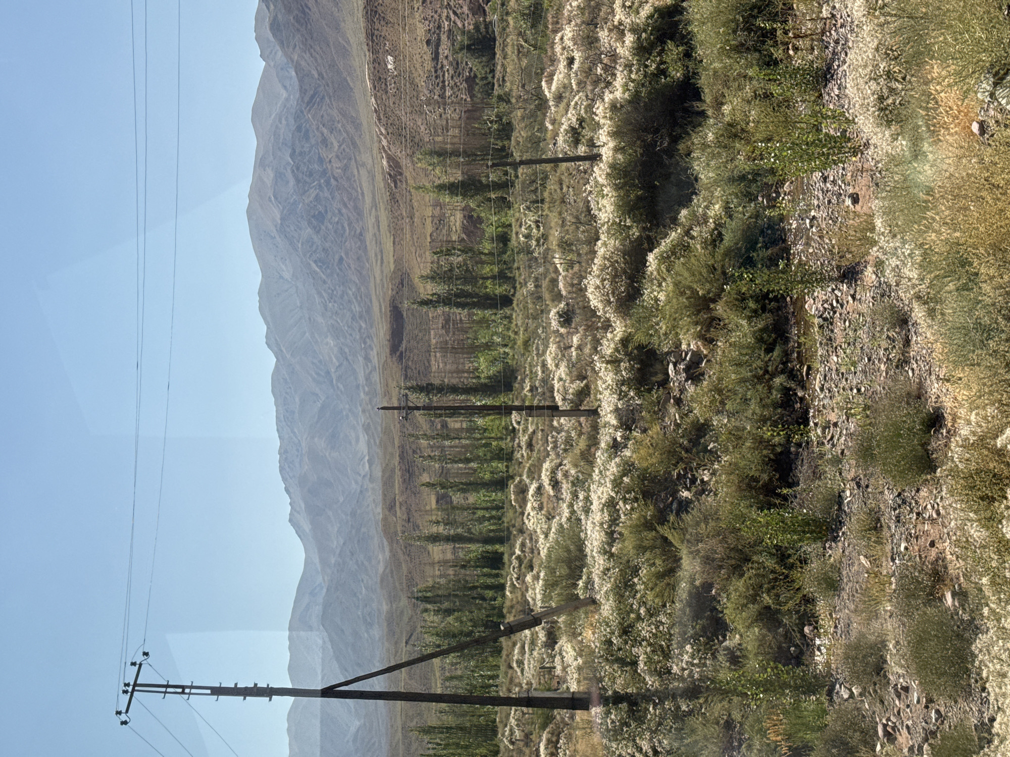 The image shows a dry, mountainous landscape with sparse vegetation. In the foreground, there are scattered bushes and rocky ground. A line of tall, thin trees runs horizontally across the middle ground, behind which is a gentle slope covered in more vegetation. In the distance, a range of mountains is visible, partially obscured by haze. Power lines stretch across the sky, supported by wooden poles. The scene appears to be a rural or semi-arid area, possibly on the outskirts of a city or town.