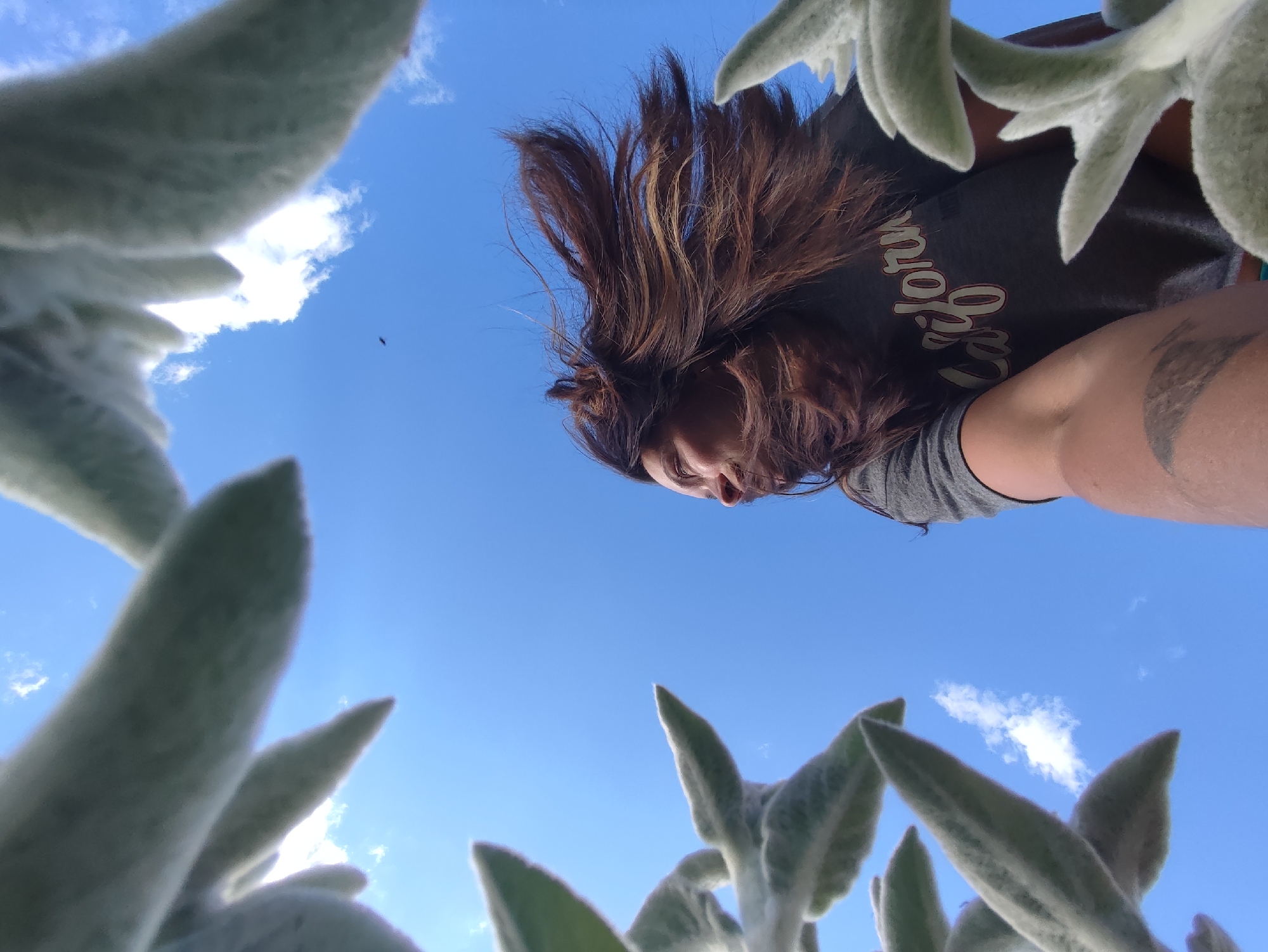This is a low-angle shot looking up at a person against a bright blue sky with a few wispy clouds. The person appears to be outdoors, surrounded by large, fuzzy, light-green leaves that frame the shot from the foreground and sides. The person, with long, brown hair, is wearing a gray t-shirt with white and red lettering that appears to say "California." The perspective suggests the photo was taken from below, possibly by someone lying on the ground or looking up through foliage. The image does not contain enough information to determine a specific location in Fokino, Russia.