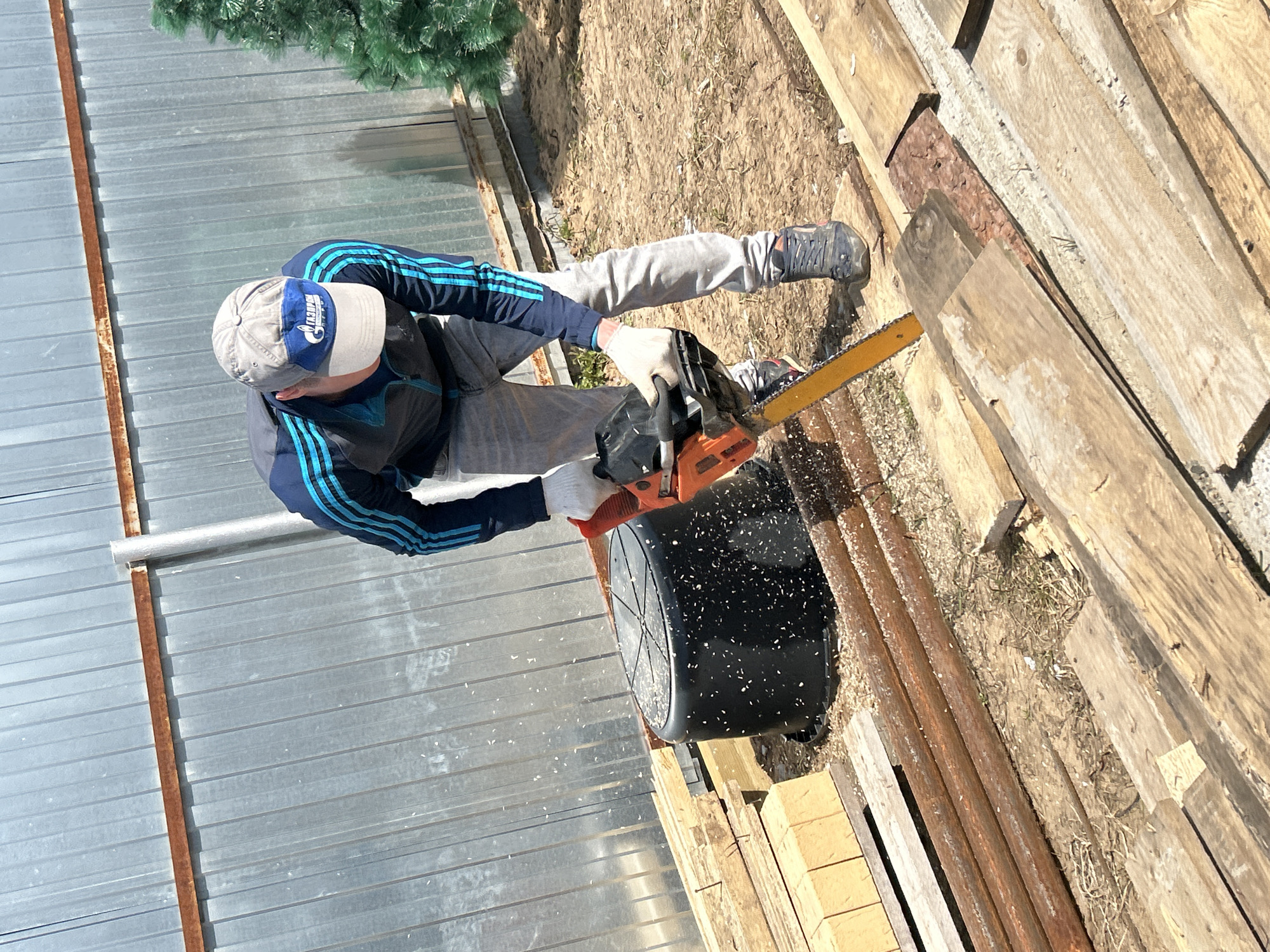 An overhead photograph captures a person, likely male, actively cutting wood with a chainsaw in an outdoor setting in Chaikovsky, Russia. The individual is dressed in a dark blue and black track jacket with light blue stripes on the sleeves, grey trousers, and a grey and blue baseball cap. White work gloves are worn on both hands as they operate the orange and black chainsaw.
Sawdust is visible scattering in the air around the saw blade, indicating active cutting. Beneath the chainsaw, a black plastic container or barrel appears to be collecting some of the debris or serving as a work surface. To the right, a pile of rough, weathered wooden planks and beams rests on the dry, sparse ground. Further to the left, a corrugated metal fence or wall, showing some rust along its seams, forms the boundary of the scene. A patch of green artificial foliage, possibly a part of a fake Christmas tree, is visible at the top edge of the frame.
The bright sunlight suggests a clear day, casting distinct shadows. On the front of the baseball cap, some visible text appears to read "CIEŁ" or similar, potentially part of a brand or team name. The scene depicts a focused, manual woodworking task in a utilitarian outdoor environment.