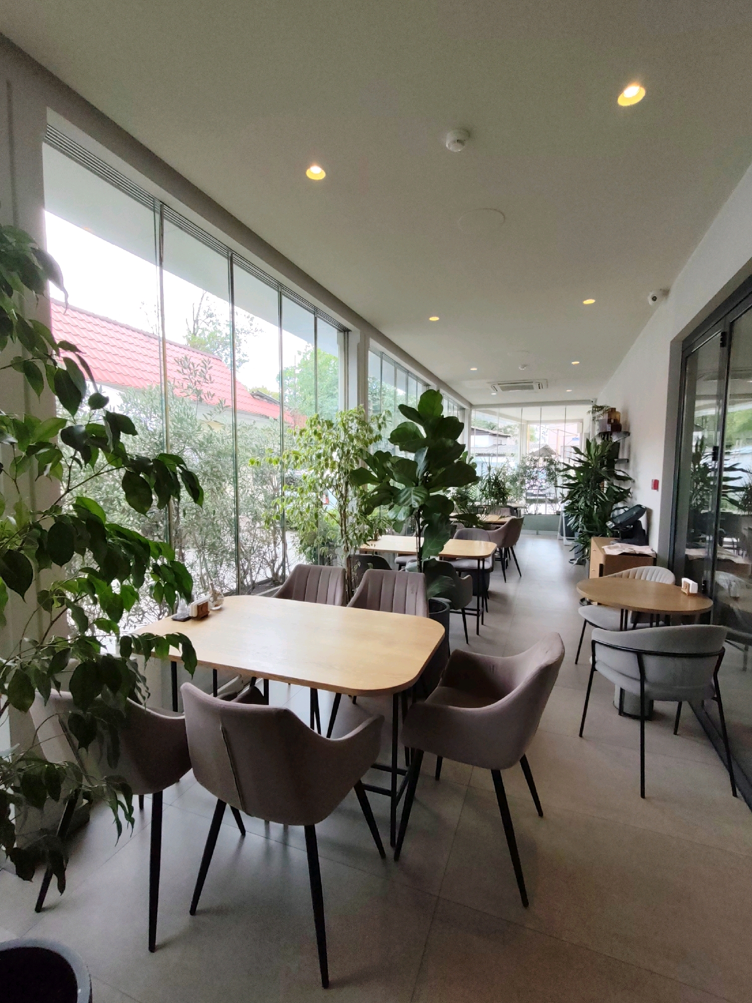 The image depicts the interior of a modern cafe located in Sochi, Russia, characterized by its expansive floor-to-ceiling windows that offer a view of lush greenery and a building with a red tiled roof. The cafe features several light-colored wooden tables accompanied by a mix of upholstered chairs in muted tones of beige and gray, all with slender black legs. Large, leafy plants are strategically placed throughout the space, some reaching considerable heights, adding a vibrant, natural element to the contemporary decor.
The lighting in the cafe appears to be a combination of natural light filtering through the windows and recessed ceiling lights. One light fixture in the upper right portion of the image is clearly illuminated. The floor is tiled in a neutral, light-colored material. In the background, additional tables and chairs are visible, suggesting a seating capacity for multiple patrons. The overall atmosphere suggests a serene and well-lit dining or seating area. There are no people visible in the image.