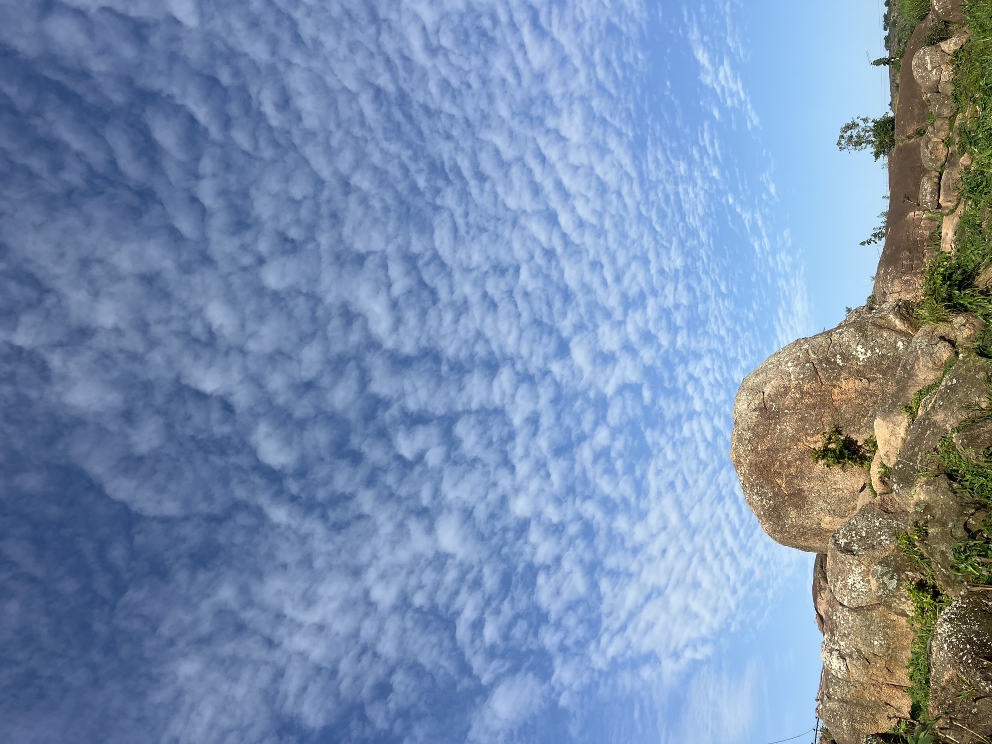 This image captures a dynamic sky over a rocky landscape. The sky is a bright blue, filled with a vast expanse of scattered, puffy white clouds that form a textured pattern across the frame. These clouds appear to be cirrocumulus, characterized by their rippled or grainy appearance.
On the right side of the image, a rocky outcrop dominates the foreground, with large, weathered boulders that have a warm, earthy tone. Some of these rocks are covered in lichen, adding to their aged appearance. Green vegetation, likely grass and small bushes, grows between and around the rocks, indicating a natural, outdoor setting. A single tree is visible on the upper right portion of the rocky terrain, with a few more branches and foliage sparsely distributed.
The orientation of the image is such that the sky is on the left and the rocky terrain on the right, creating a composition that emphasizes the contrast between the vastness of the sky and the solidity of the earth. The lighting suggests it is daytime, likely mid-morning or afternoon, given the brightness of the sky and the clear visibility of the details on the rocks. There is no visible text in the image. The overall impression is one of a serene and natural landscape under a vibrant sky.
Considering the location context of Jos, Nigeria, this scene could depict a common geological formation in the region, characterized by granite rock outcrops and the expansive skies typical of plateau environments.