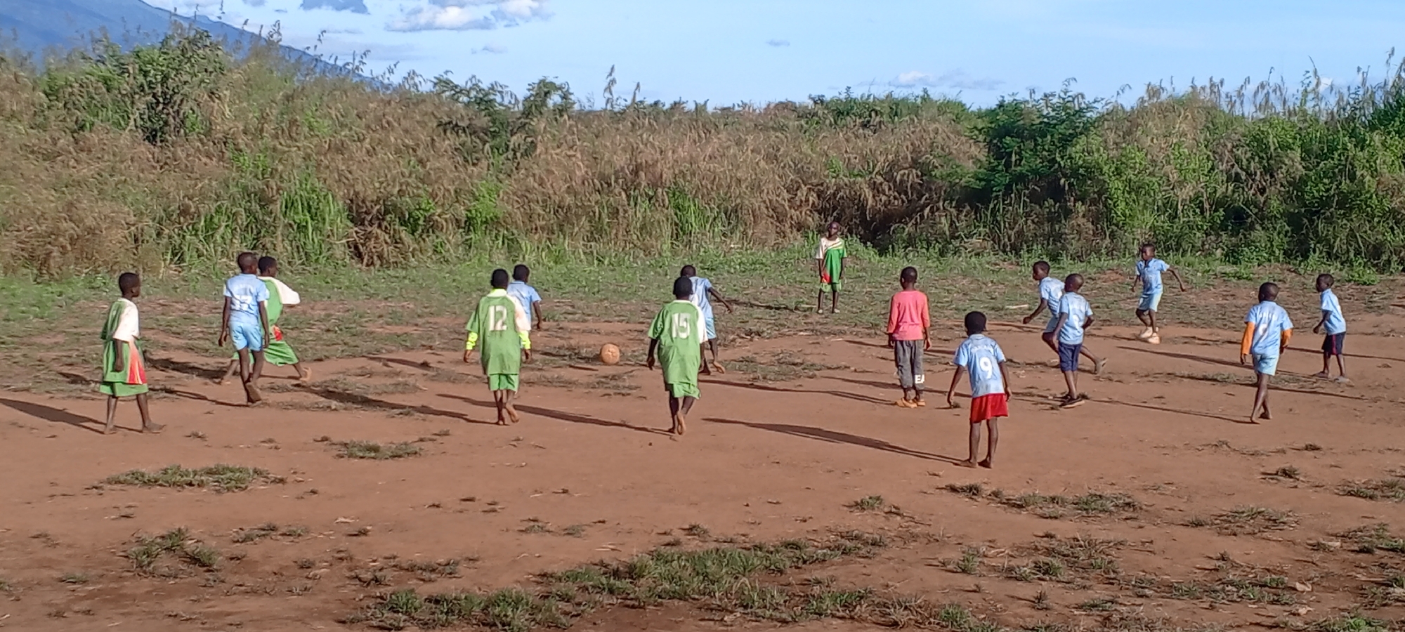 This image captures an energetic game of soccer being played by approximately 15 children on a dirt field in Ngalula, Democratic Republic of the Congo. The scene is set outdoors under a clear, bright blue sky with sparse clouds.
The children, mostly boys, are engaged in the game, some running and others standing, indicating active play. They are divided into two teams, one wearing bright green jerseys with numbers like "12" and "15" visible on their backs, and the other team predominantly in light blue jerseys, with one player wearing "9" and another in a pink shirt with grey shorts. A well-worn, light brown soccer ball is visible on the dusty ground in the center of the frame. One child in a green and white striped shirt stands further back, possibly acting as a goalkeeper or bystander.
The playing field is unpaved, consisting of reddish-brown dirt with patches of sparse green grass. Tall, wild green and dried-out vegetation forms a dense backdrop around the edges of the field, suggesting a rural or undeveloped area. In the far distance, a large mountain range is faintly visible under the sky. Long shadows cast by the children across the field suggest it is either early morning or late afternoon, with the sun low in the sky, creating a soft, natural light. The overall mood conveys youthful energy and enjoyment of the sport.