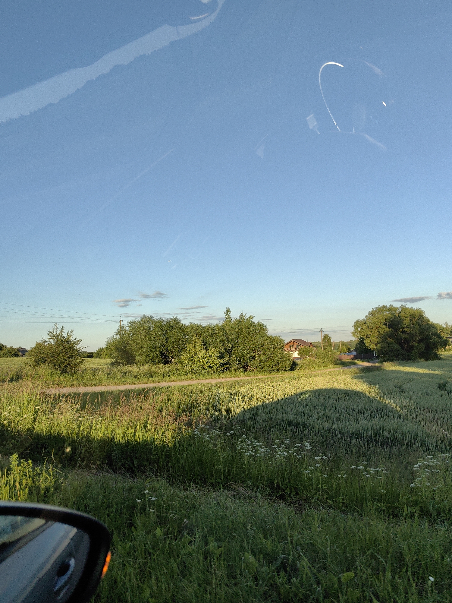 The image captures a rural landscape under a clear blue sky. In the foreground, a patch of tall green grass and wildflowers lines a dirt road. The road curves into the distance, leading towards a field of green crops that stretches towards a cluster of trees and a wooden house with a red roof. The sunlight casts long shadows across the field, indicating it is late afternoon or early evening. The reflection of what appears to be a car's interior, including a curved line and a small white dot, is visible on the upper portion of the image, suggesting the photograph was taken from inside a vehicle. A faint contrail is visible in the sky, and power lines are strung between poles in the middle ground. The overall scene is serene and depicts a rural dwelling surrounded by agricultural land. The location is identified as Dzyamidavichy rural council, Belarus.