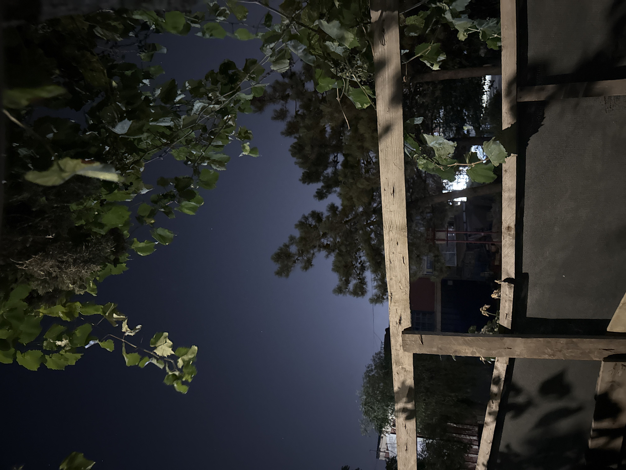 A nighttime, low-light image captures a view from behind a rustic wooden fence, looking out towards a dark blue sky with a few faint stars visible. Lush green leaves from an overhead vine drape down from the top right, their forms partially silhouetted against the sky. In the middle ground, the shapes of trees, including a pine, are visible, some lit by unseen external light sources. Beyond the trees, buildings with illuminated windows are discernible, suggesting an urban or suburban setting. The foreground is dominated by the texture of the dark wooden fence and a dark-colored mesh material that forms the lower part of the barrier. Shadows from the vine and fence are cast onto the mesh. The scene is devoid of any human presence or activity. The location is identified as Gebze, Turkey.