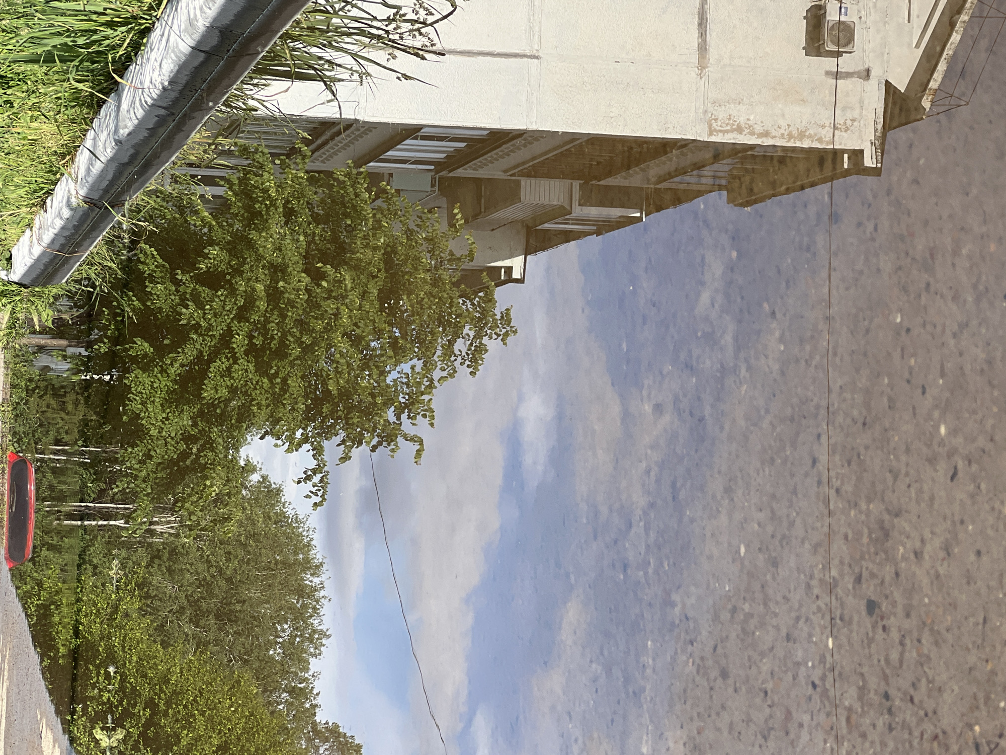 The image shows a reflection in a puddle on a concrete surface. The reflection reveals an upside-down view of a building, trees, and the sky. The building appears to be multi-storied and made of concrete with balconies and an air conditioning unit. The trees are green and leafy, and the sky is cloudy. On the left side of the image, there is a red object, likely a car, reflecting. The presence of a building and greenery suggests an urban or suburban location, potentially in a park or near a residential area. No people are visible in the reflection. Based on the prompt, the location is speculated to be Noviy, Russia.