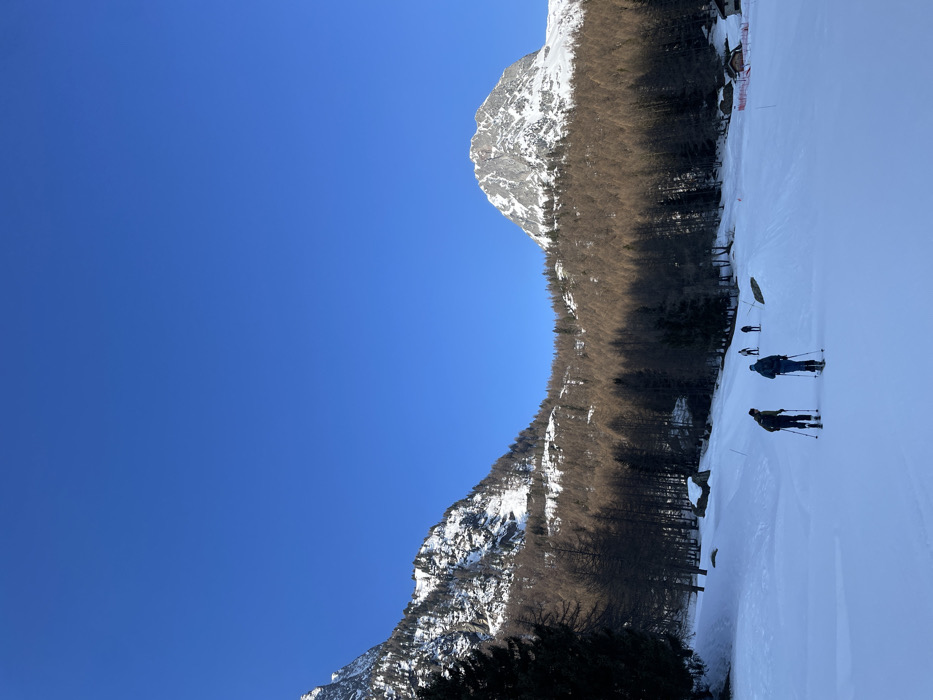 The image depicts a winter scene in a mountainous area within the commune of Vallorcine, France. The foreground features a wide, snow-covered expanse with visible ski tracks. Five individuals are present, equipped with skis and poles, appearing to be ski touring or cross-country skiing uphill. The two closest individuals are in dark winter attire, carrying backpacks, and positioned in the lower-center of the frame, moving away from the viewer. Three additional skiers are further back in the midground, also moving in the same general direction.
The midground consists of a forest line predominantly of bare deciduous trees, likely larch, with some darker evergreen trees interspersed. Several large rocks are visible within the snow near the tree line. On the far right, partially obscured by snow and trees, are small structures, possibly chalets or ski huts, accompanied by red safety netting or fencing.
The background is dominated by snow-capped mountains under a clear, bright blue sky. A rugged, snow-covered mountain slope with exposed rock and scattered trees rises on the left. A prominent, triangular snow-capped peak with distinct rock faces is visible on the right side of the frame. The lighting indicates direct sunlight, illuminating the mountains and casting shadows on the snow and trees.