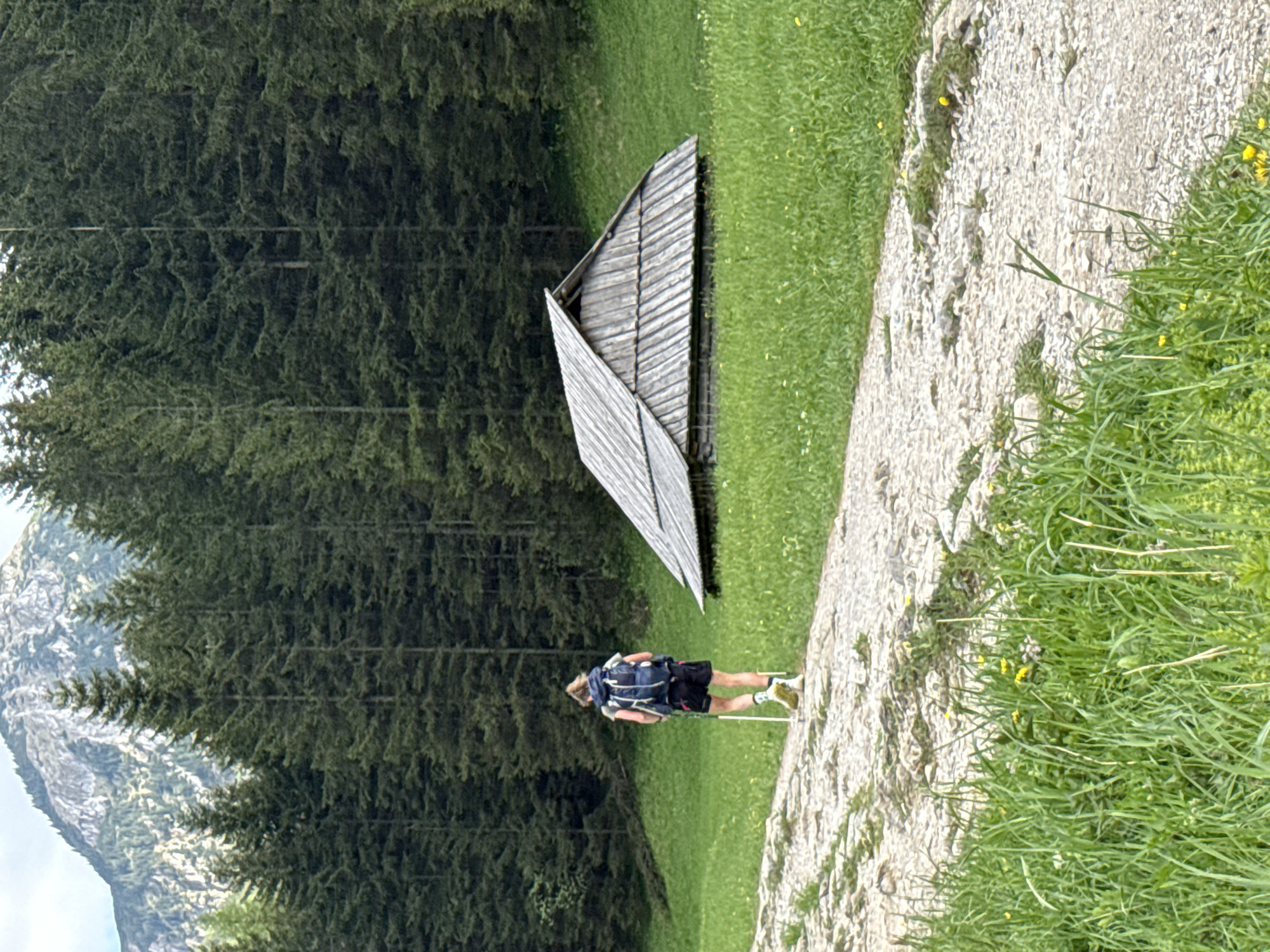 This horizontally oriented image depicts a scenic mountain landscape, characteristic of Zakopane, Poland, captured during the daytime under soft, diffused light, possibly from an overcast sky.
The central human subject is a male hiker, viewed from behind, standing on a light-colored, gravel path that curves gently through the right side of the frame. He is dressed in dark shorts, a light-colored top, and carries a prominent dark backpack, while holding trekking poles, suggesting an active outdoor pursuit. His posture implies a pause, perhaps to admire the surroundings.
To the left of the path, a lush expanse of green grass is visible, interspersed with small yellow wildflowers. Further into the midground, a distinctive wooden structure stands out. It features an angular, asymmetrical roof constructed from weathered wooden planks, resembling a modern shelter or an artistic installation. This structure is positioned at the edge of a dense coniferous forest, which dominates the middle and left background of the image with its dark green, towering evergreen trees. In the far background on the left, majestic, rugged grey mountains rise, completing the expansive natural vista. There is no visible text in the image.