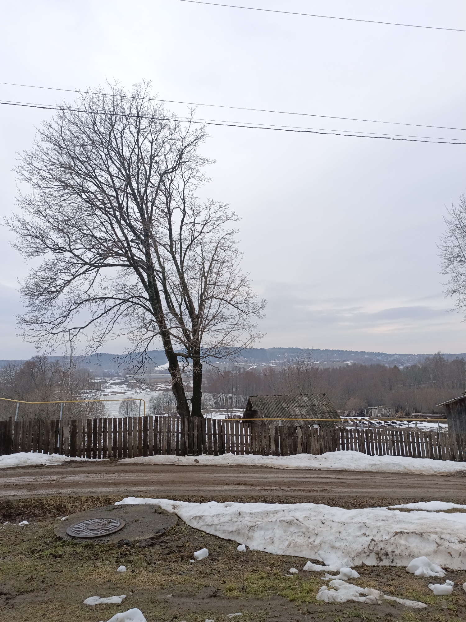 The image depicts a rural scene in Большой Букор, Russia, characterized by lingering signs of winter. A bare deciduous tree dominates the left side of the frame, its branches stark against the overcast sky. Overhead, parallel power lines stretch across the sky. Below, a weathered wooden fence runs along the roadside, with sections of it in disrepair. Behind the fence, glimpses of buildings with aged, corrugated roofs are visible, along with open fields partially covered in snow.
The road itself is muddy and rutted, indicating recent thaw. Patches of snow remain on the ground next to the road, particularly in front of a concrete manhole cover. The ground is a mix of mud, grass, and melting snow. The distant landscape features a slightly elevated horizon line marked by a line of trees, suggesting rolling hills. No people are visible in the image. The overall impression is of a quiet, remote location during the transition from winter to spring.