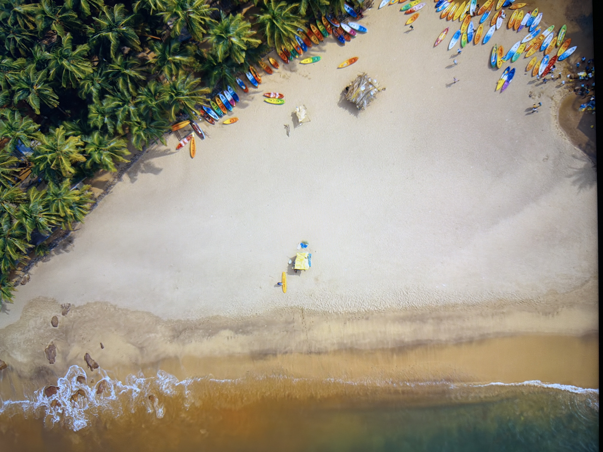 An aerial view captures a beach scene with a shoreline on the left and palm trees lining the edge of the sand on the right. The water is a greenish-brown hue, with white waves lapping at the shore. The beach is a light tan color, with some areas appearing lighter than others, possibly due to wetness or sand texture. Numerous surfboards and kayaks are neatly arranged in rows along the edge of the palm trees. Some of these watercraft are brightly colored in shades of yellow, orange, blue, green, and red.
Towards the center of the beach, a small yellow surfboard with a person in blue attire stands upright. Next to it, a light-colored tent or shelter is set up, with a blue and yellow tarp. Further down the beach, closer to the palm trees, there are scattered groupings of people, some appearing to be walking or standing. A few debris piles are visible on the sand, one appearing as a jumble of wood and straw. The scene is bathed in sunlight, casting shadows from the palm trees onto the sand.
This image does not depict a location within the city of Kyiv, Ukraine. The environment and elements shown are characteristic of a tropical or subtropical beach destination.