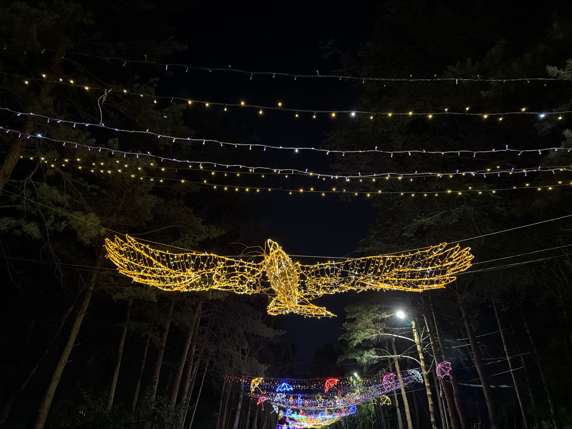 The image depicts a nighttime outdoor scene with several strings of decorative lights suspended between trees, likely in a park or along a street. In the foreground, a large, illuminated sculpture of a bird in flight, made of golden lights, is prominently displayed. Behind the bird sculpture, further down a pathway, a series of colorful light decorations are visible, including illuminated umbrellas and musical notes. The background consists of dark trees, silhouetted against the night sky, with a single street lamp visible on the right side. The scene suggests a festive or holiday atmosphere, possibly a light installation in a public space. There are no people or animals directly visible in the frame. The overall impression is one of a decorated outdoor area illuminated by artificial lights at night. The question of location in Pavlodar, Kazakhstan cannot be answered from the image alone.