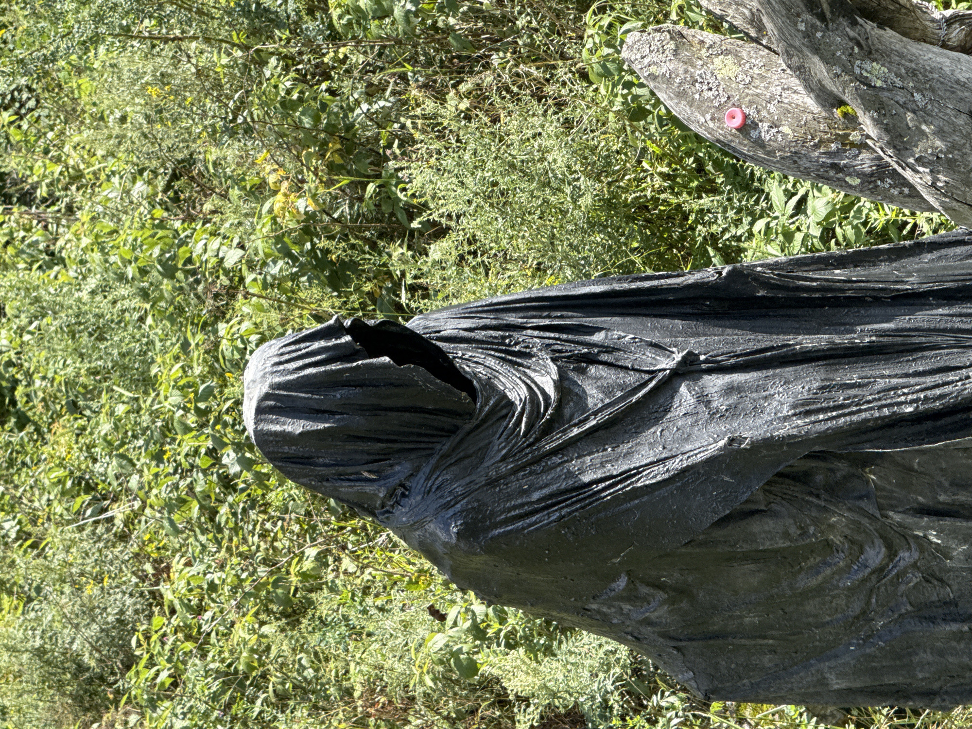 A dark, hooded, cloaked figure stands in front of a dense green bush. The figure is made of a dark, shiny material, possibly metal or painted plastic, and is draped in heavy folds of fabric that obscure its face and body. The figure appears to be a statue or sculpture. To the right of the figure, a rough, moss-covered log with lichen is visible. A small, bright pink object, possibly a cap or button, is attached to the log. The background consists of lush, green vegetation, with some yellow flowers visible. The scene is outdoors, in what appears to be a natural setting. This image was taken in Chemal, Russia.