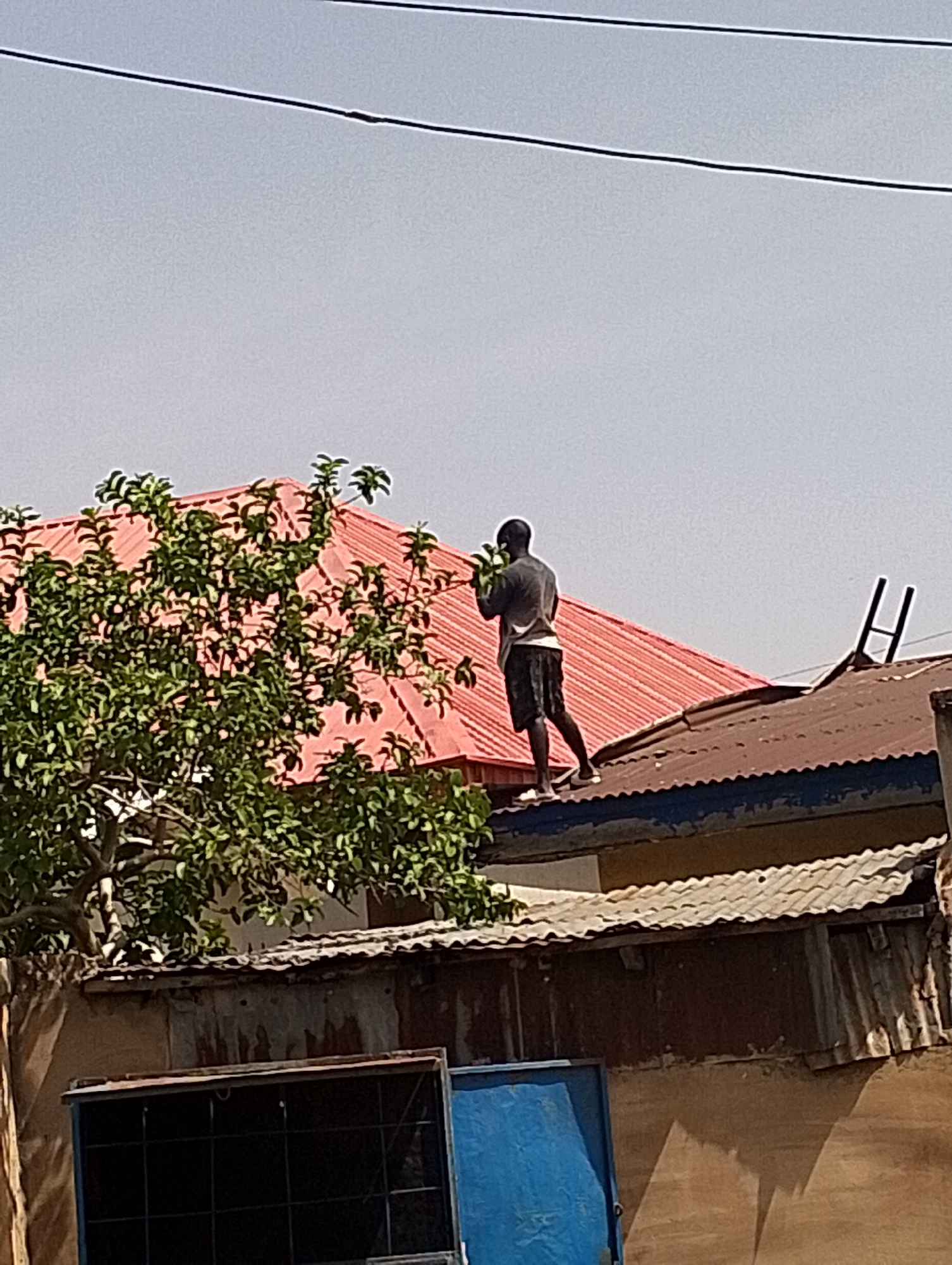 A person is standing on a brown corrugated metal rooftop with a ladder leaning against it. The person is wearing a gray shirt and black shorts. There is a red metal roof behind the person and a tree to the left. The environment appears to be an urban or suburban area. There are power lines visible in the sky. There is a fence and window frame below.