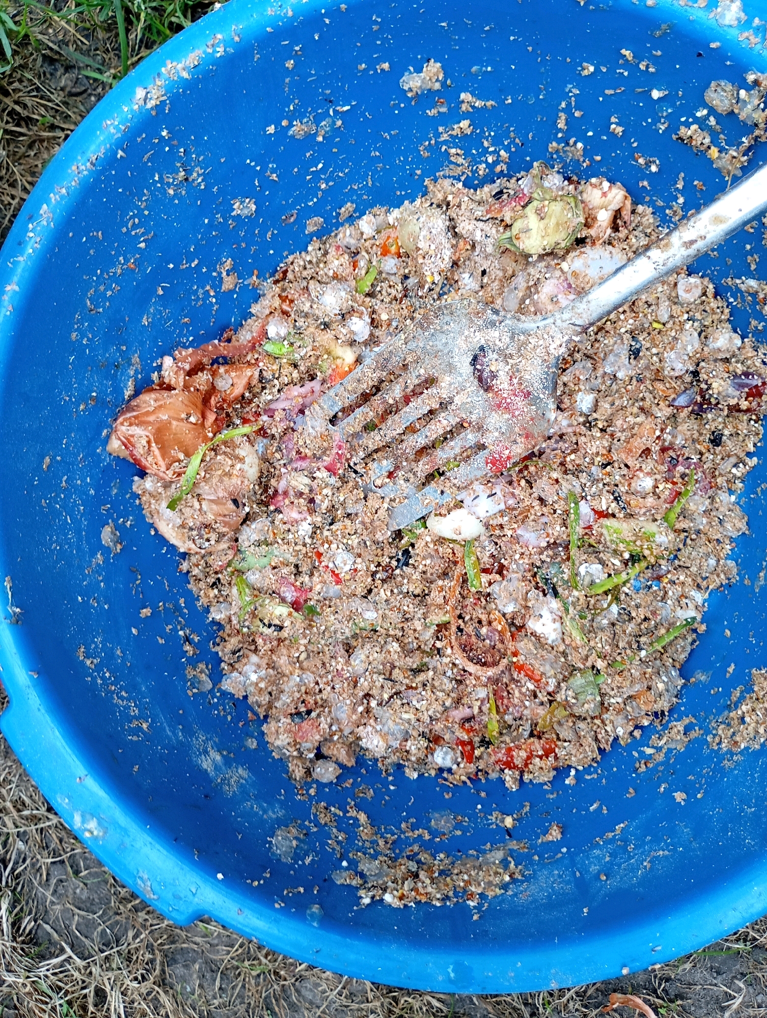 A close-up, overhead shot shows a blue plastic bucket filled with fish bait. The bait is a mixture of sand, small stones, and various organic materials including pieces of fish, red and green plant matter, and what appear to be small insect parts. A silver metal fork is submerged in the bait, its tines coated with the mixture. The bucket is sitting on dry, patchy grass and soil, suggesting an outdoor setting. The scene is likely in Horishni Plavni, Ukraine, given the context.