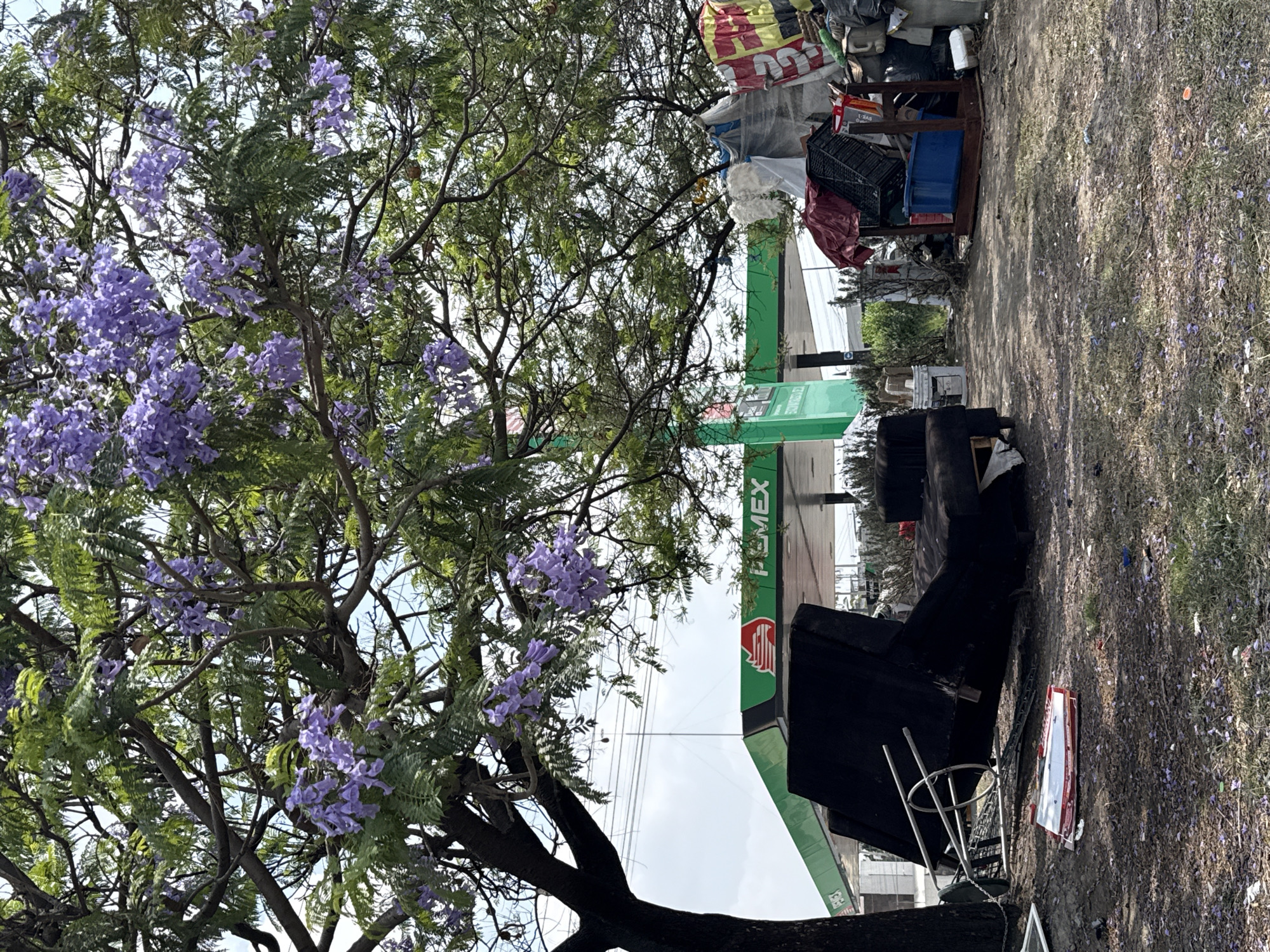 The image depicts a scene in Puebla, Mexico, adjacent to a PEMEX gas station. A jacaranda tree with violet blossoms stands prominently in the foreground. Debris, including discarded tires, furniture components, and refuse, are scattered near the gas station. There are no people visible.
