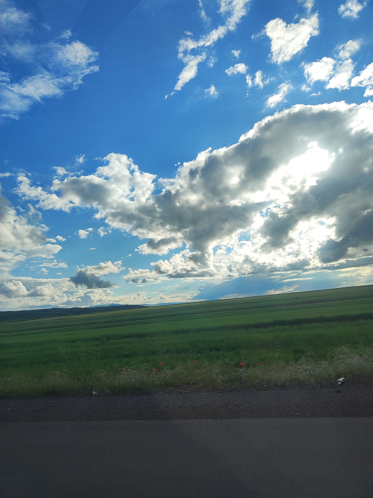 The image depicts a vast, open landscape under a dramatic sky filled with both bright blue patches and large, fluffy white and grey clouds. Sunlight pierces through some of the clouds, creating bright highlights. The foreground features a dark asphalt road. Beyond the road, a lush green field stretches into the distance, with some subtle terraced patterns visible. A narrow strip of grass and small wildflowers, including a few bright red poppies, separates the field from the road. In the far distance, a faint, hazy outline of hills or mountains can be seen against the horizon. The scene appears to be a rural or semi-rural area, possibly on the outskirts of Lusakert, Armenia, given the vastness of the fields and the presence of open sky, characteristic of the region. There are no people or animals visible in the frame. The overall impression is one of a scenic, natural environment during daytime.