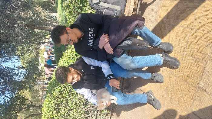 Memory