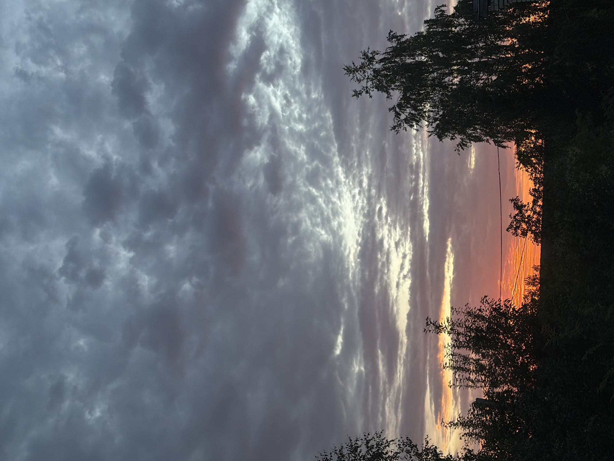This is a vertically oriented, full-frame photograph of a dramatic sunset over a landscape in Leninsk-Kuznetskiy, Russia. The sky dominates the frame, filled with a striking display of clouds illuminated by the setting sun. On the left side of the image, dense, dark grey clouds create a sense of foreboding or impending weather. As the eye moves to the right, the clouds become lighter and more streaky, with bands of bright white and pale yellow suggesting the direct path of sunlight.
The right side of the sky is a vibrant spectacle of sunset colors, featuring intense oranges and pinks, with a shimmering, almost metallic texture in the sky where the sun's rays are most concentrated. Silhouetted against this colorful sky are the dark shapes of trees and foliage along the horizon. The trees are dense and leafy, with some branches reaching upwards into the sky, creating a stark contrast with the bright sunset. A single thin power line is visible stretching horizontally across the upper right portion of the frame, bisecting the sunset colors and trees.
The overall mood is one of dramatic natural beauty and perhaps a touch of atmospheric tension due to the dark clouds juxtaposed with the brilliant sunset. The time of day is clearly evening, at the point of sunset. There are no people or specific objects that would indicate a particular event or activity. The location cues are limited to the trees and the presence of a power line, which are common in many rural or semi-rural settings. There is no visible text in the image.