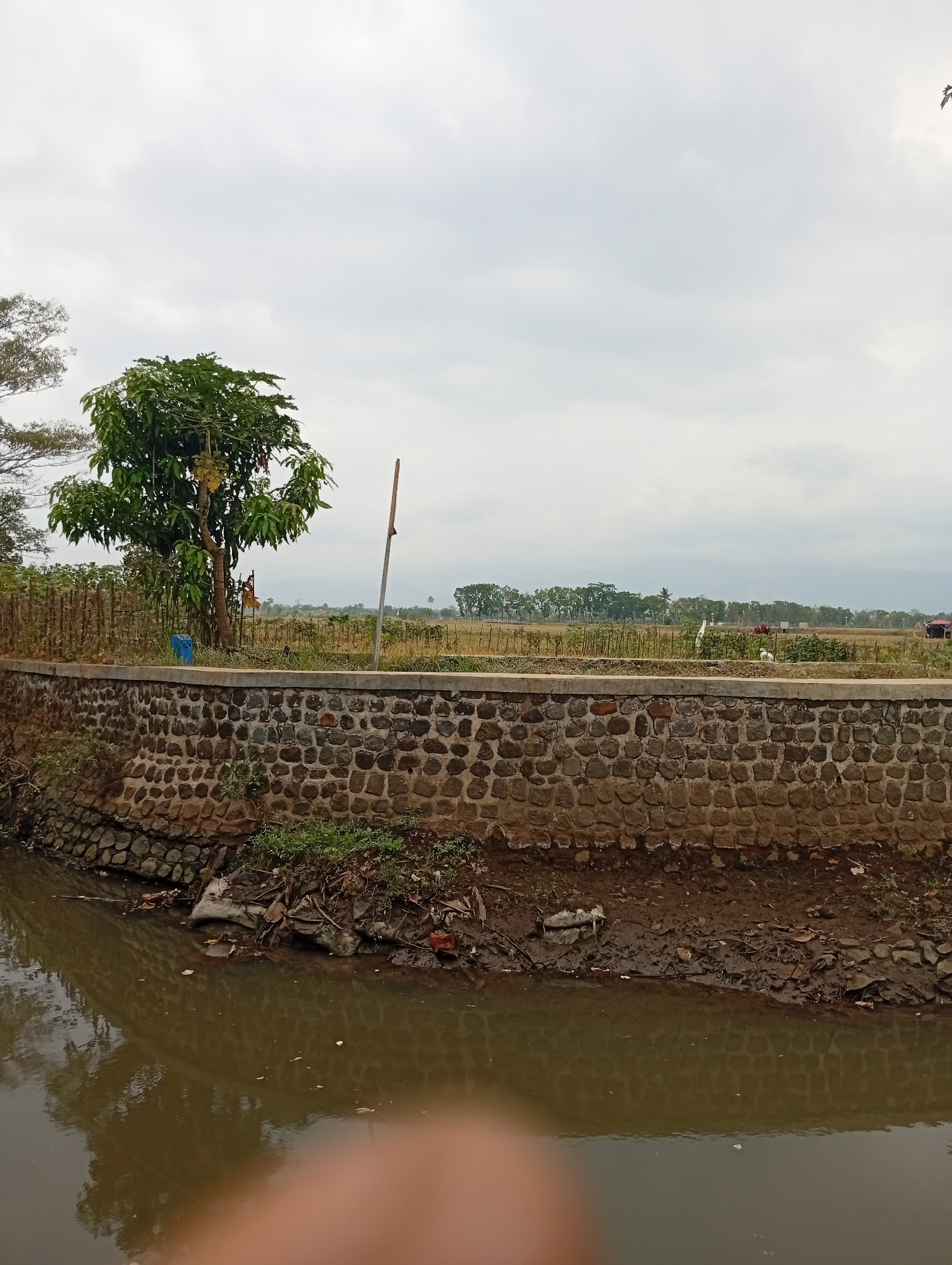 The image shows a rural landscape with a cloudy sky. In the foreground, a muddy river flows, reflecting the cloudy sky and a stone embankment. The embankment is constructed with irregular, rough-hewn stones of varying sizes, giving it a rustic appearance. Above the embankment, a dirt path runs along a fence made of thin, vertical wooden poles. To the left of the path, a tree with green foliage stands prominently. Beyond the fence and path, a field of dry vegetation stretches into the distance, with a line of trees forming a horizon. In the far distance, mountains are visible under the hazy sky. The overall scene depicts a natural environment in a rural setting.