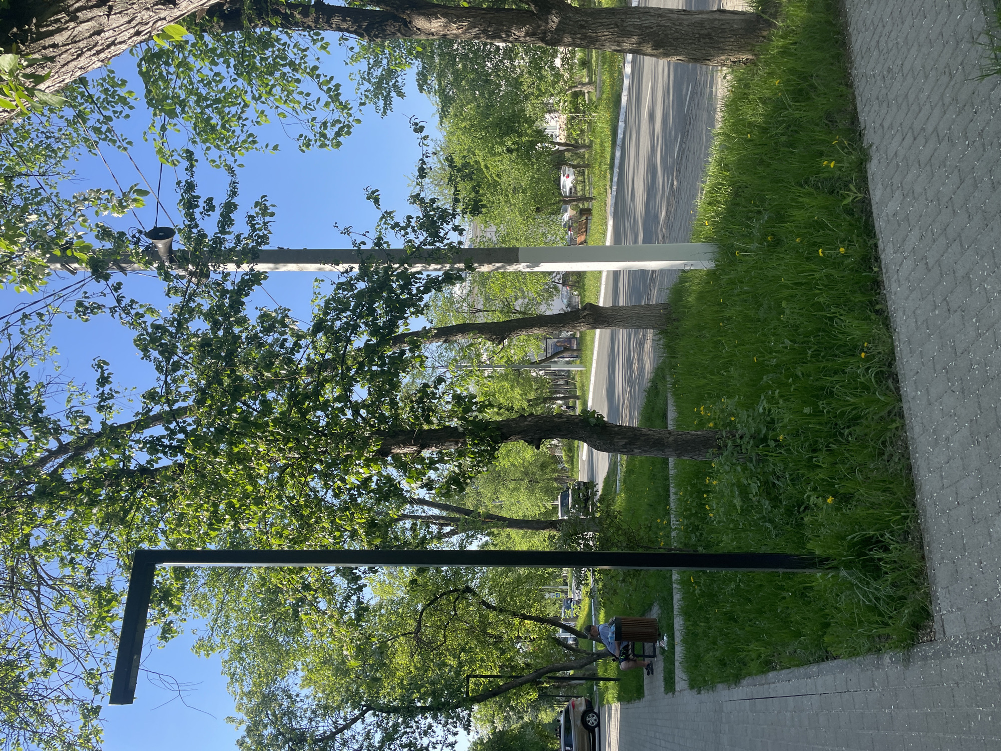 The image shows a scene in Chaikovsky, Russia. It is a sunny day with a clear blue sky. A paved sidewalk runs along the bottom right, bordering a strip of green grass. A road runs parallel to the sidewalk. There are trees lining both sides of the road and sidewalk, their leaves forming a green canopy overhead. A man is sitting on a bench along the sidewalk. A black, L-shaped metal structure, possibly a lamppost or similar fixture, is visible near the sidewalk. Cars can be seen parked and driving along the road. There are light posts on the opposite side of the street from the sidewalk.