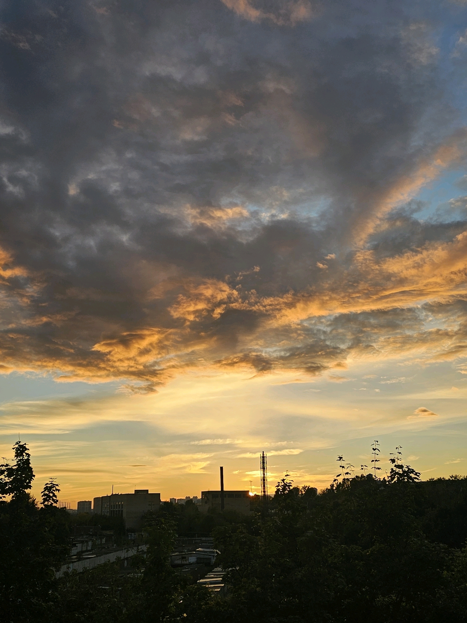 The image depicts a sunset over the city of Khimki, Russia. The sky is filled with dramatic clouds, with the lower portion illuminated by the setting sun in hues of orange and yellow, while the upper portion is a darker gray. In the distance, silhouetted against the sky, are industrial buildings and structures, including a tall smokestack. The foreground is dominated by dense, dark green foliage, obscuring the lower parts of the city. A few trees are visible in silhouette, with their branches reaching upwards towards the sky. The overall impression is of an industrial urban landscape at dusk, with the beauty of the sunset providing a striking contrast to the man-made structures.