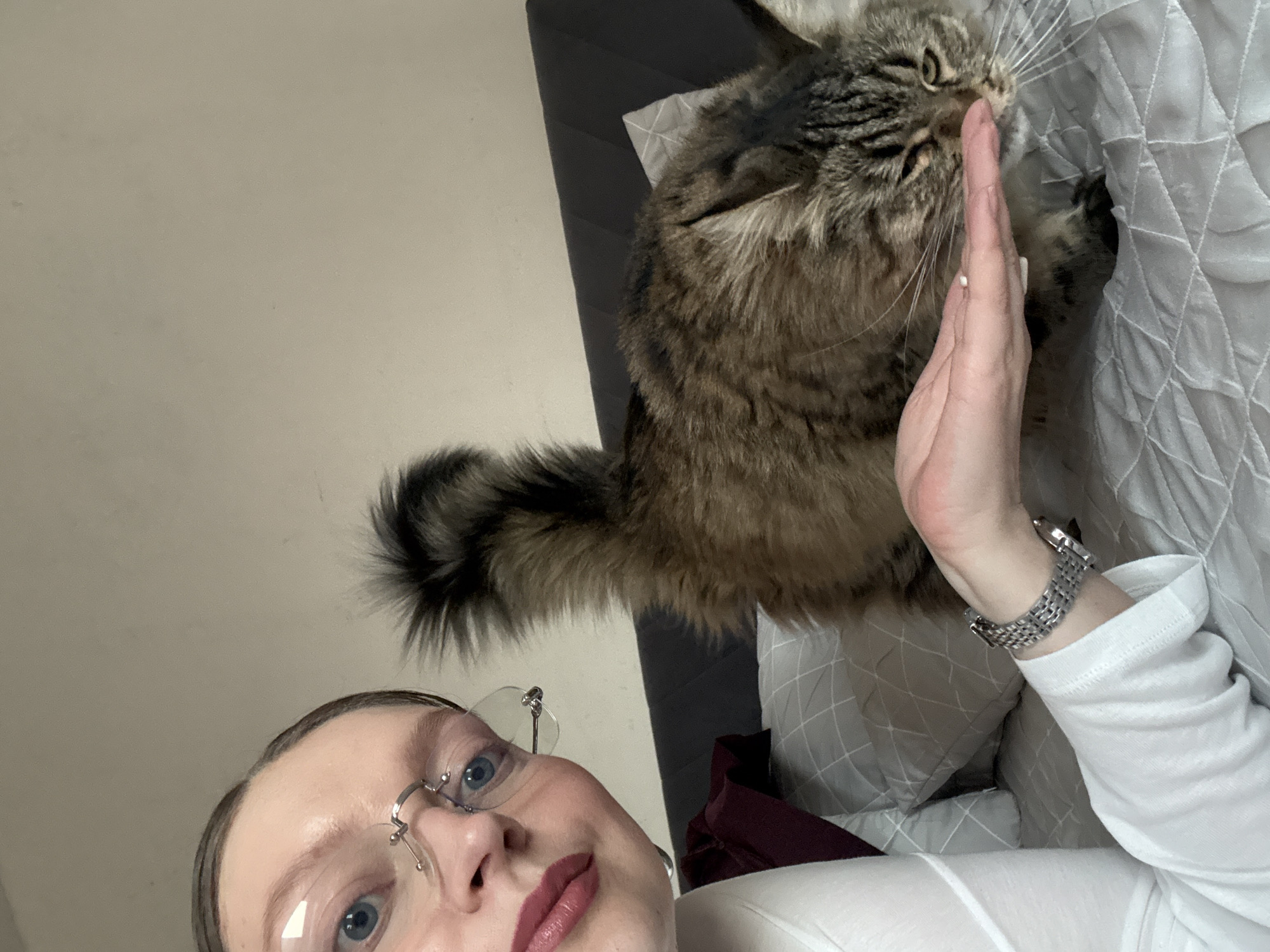 A selfie taken from a low angle captures a woman with fair skin and blue eyes, wearing rimless glasses and dark red lipstick. Her hair is pulled back. The woman is wearing a white, long-sleeved shirt and a silver watch on her left wrist. A large, fluffy, brown tabby cat is positioned above her, nuzzling its face into her hand. The cat's tail is bushy and striped. The background consists of a light beige wall on the left and a bed with a gray headboard and white patterned bedding on the right. The scene appears to be indoors, possibly a bedroom. There is no information about Izhevsk, Russia in the image.