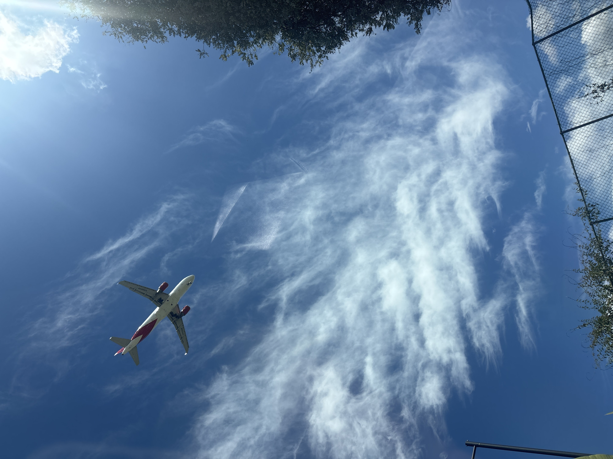 Captured from a low angle in Llanogrande, Colombia, the image showcases a passenger airplane in flight against a bright blue sky with wispy, cloud-like formations. The plane, painted white with red accents, is ascending or cruising. The view includes foliage and a chain-link fence along the top and right edges, suggesting the perspective is from ground level near a wooded or residential area. There is no visible evidence of people.