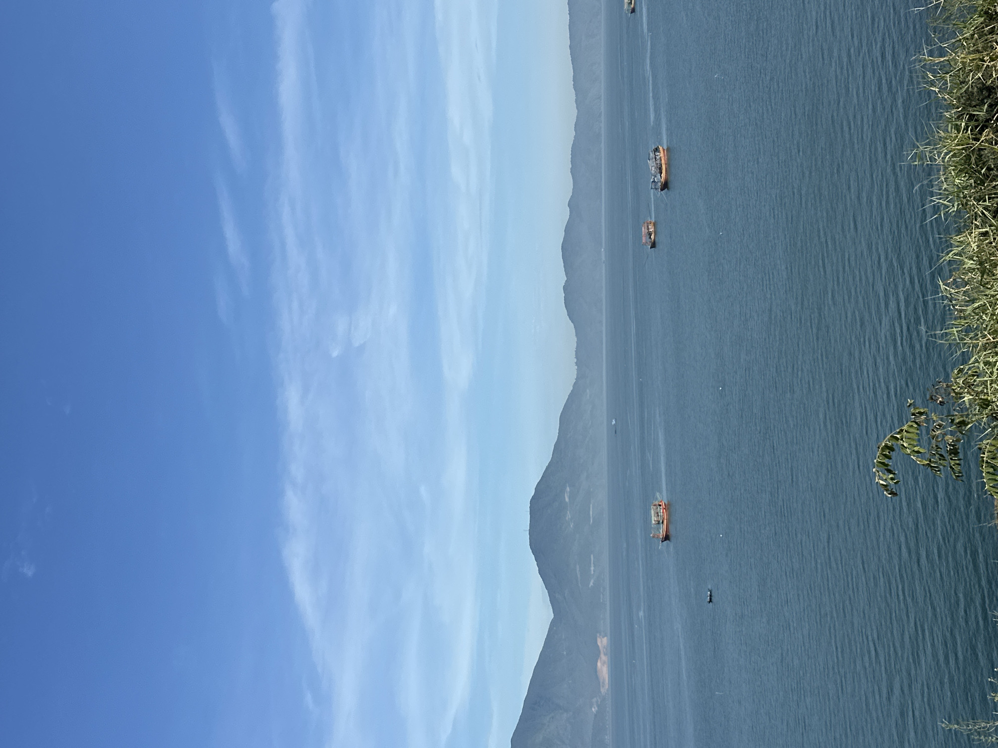 The image shows a wide view of the ocean with several boats. In the foreground, there is lush green vegetation. In the background, there are mountains. The sky is a clear blue with a few wispy clouds. The ocean is a deep blue color. There are at least five boats visible in the water. The boats appear to be fishing boats, with some of them having canopies. The scene is serene and peaceful. This is likely the Son Tra peninsula area of Da Nang, Vietnam, known for its beautiful coastline and mountainous terrain.