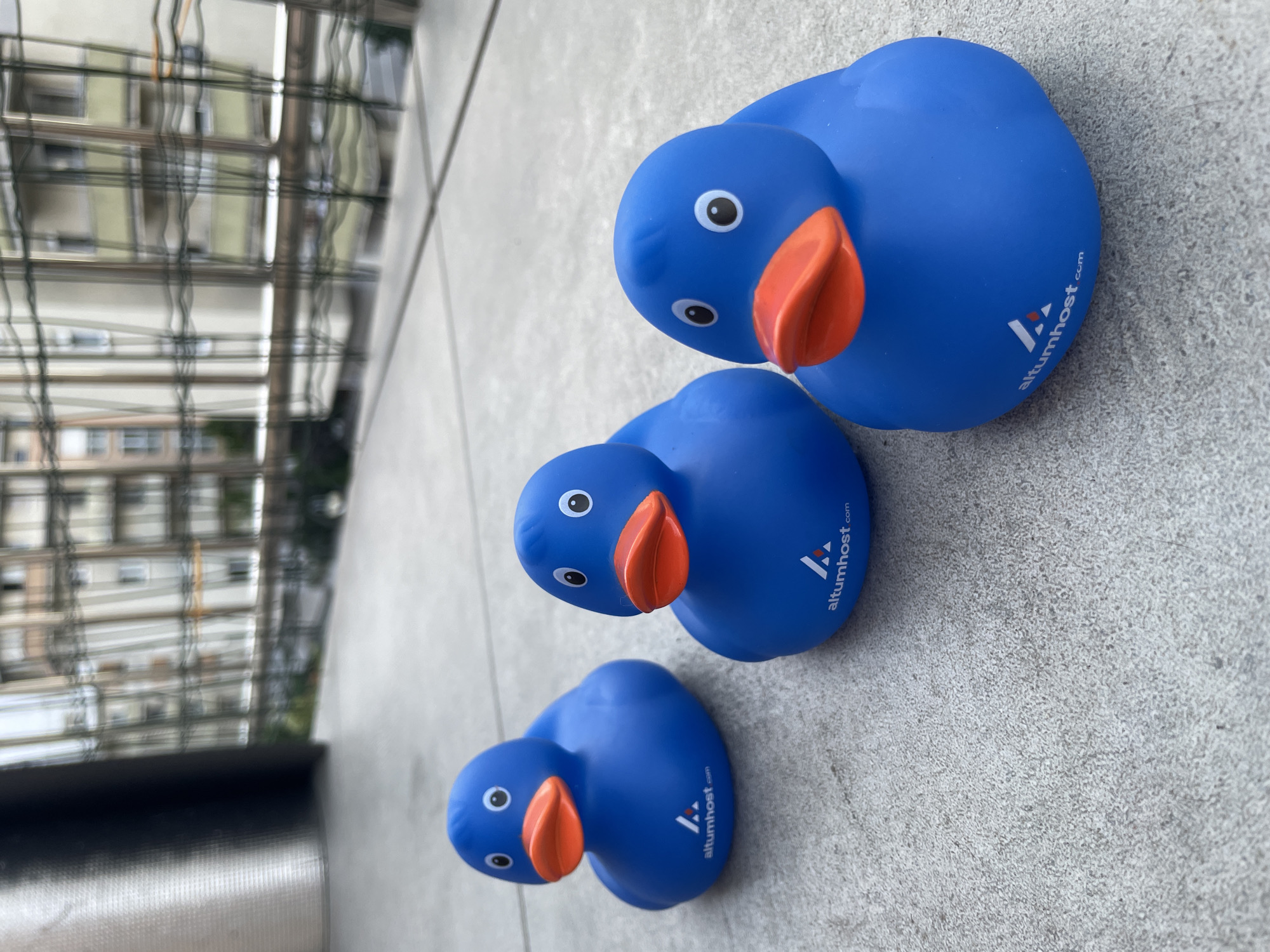 Three blue rubber ducks are lined up on a textured gray concrete surface, outdoors. The ducks are identical, featuring orange beaks, black eyes, and white pupils. Each duck also has a white logo with red accents and the text "altumhost.com" printed on its side. In the background, a blurred view of a building with multiple windows and a metal fence is visible, suggesting an urban environment. The lighting is overcast.