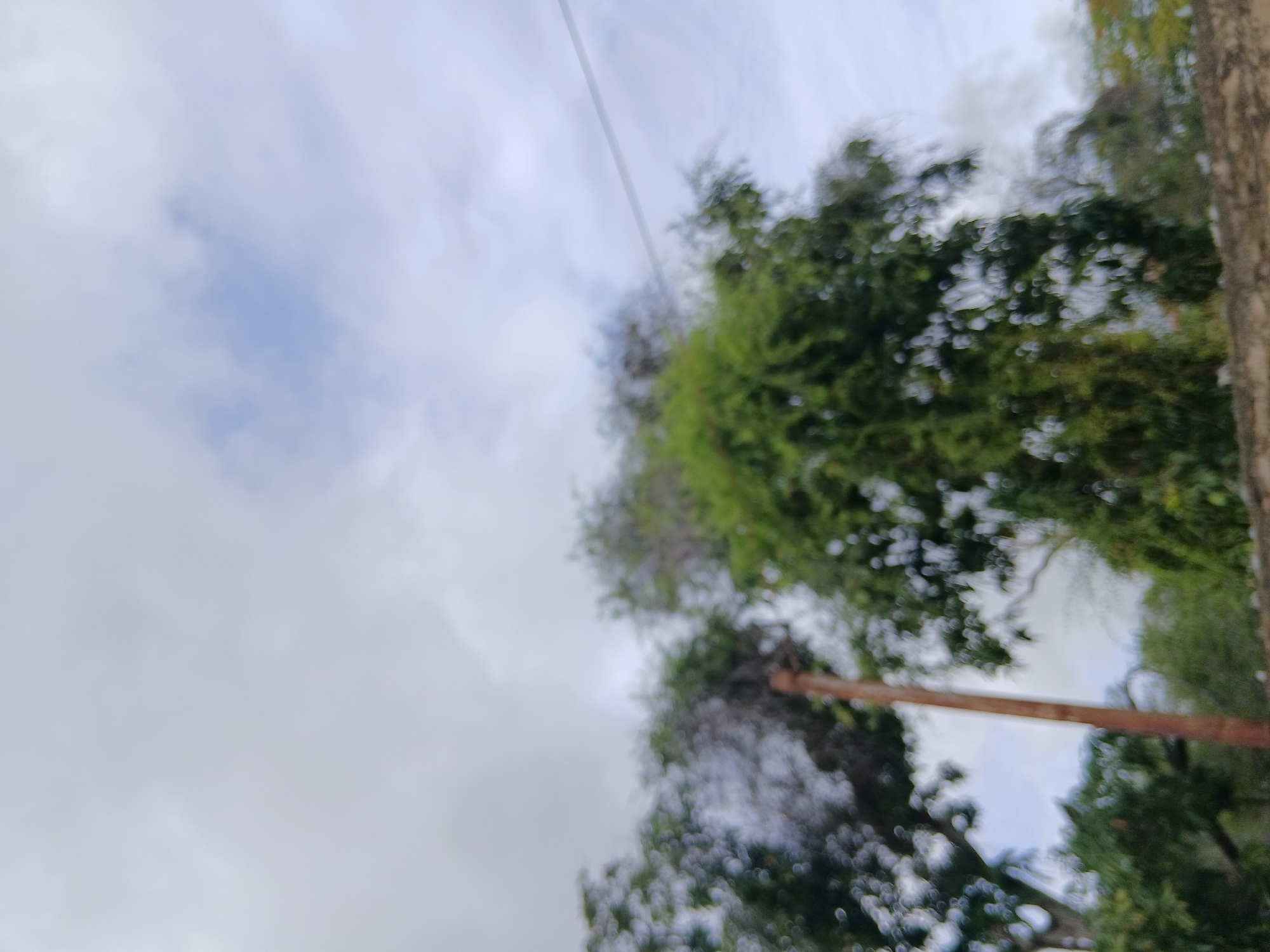 The image shows a blurred view of trees against a cloudy sky. A brown pole or post is visible in the foreground. There is a wire extending across the sky. The scene appears to be outdoors, possibly in a park or natural area within the city of Santa Ana, Venezuela, judging by the vegetation and sky. No people or specific actions are discernible due to the blurriness.