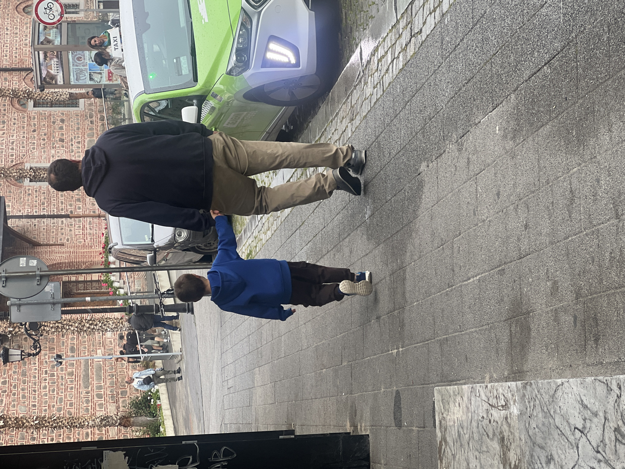 A medium-angle, full outdoor shot shows a man and a young boy walking along a sidewalk on a cloudy day in the city of Plovdiv, Bulgaria.
The man, viewed from behind, is wearing a black hooded sweatshirt, khaki pants, and black shoes. He is holding the boy's hand. The boy is wearing a blue hooded sweatshirt and brown pants. He is walking next to the man.
To the left of the man and boy, across the sidewalk, is a building with a red brick facade and ornate details. Palm trees are planted along the base of the building. A street sign is also visible. Other pedestrians are walking along the sidewalk in front of the building.
To the right of the man and boy is a gray stone sidewalk with a curb. A green and white taxi cab is parked partially on the sidewalk.
The overall environment appears to be an urban street scene with a mix of historic architecture and modern transportation.