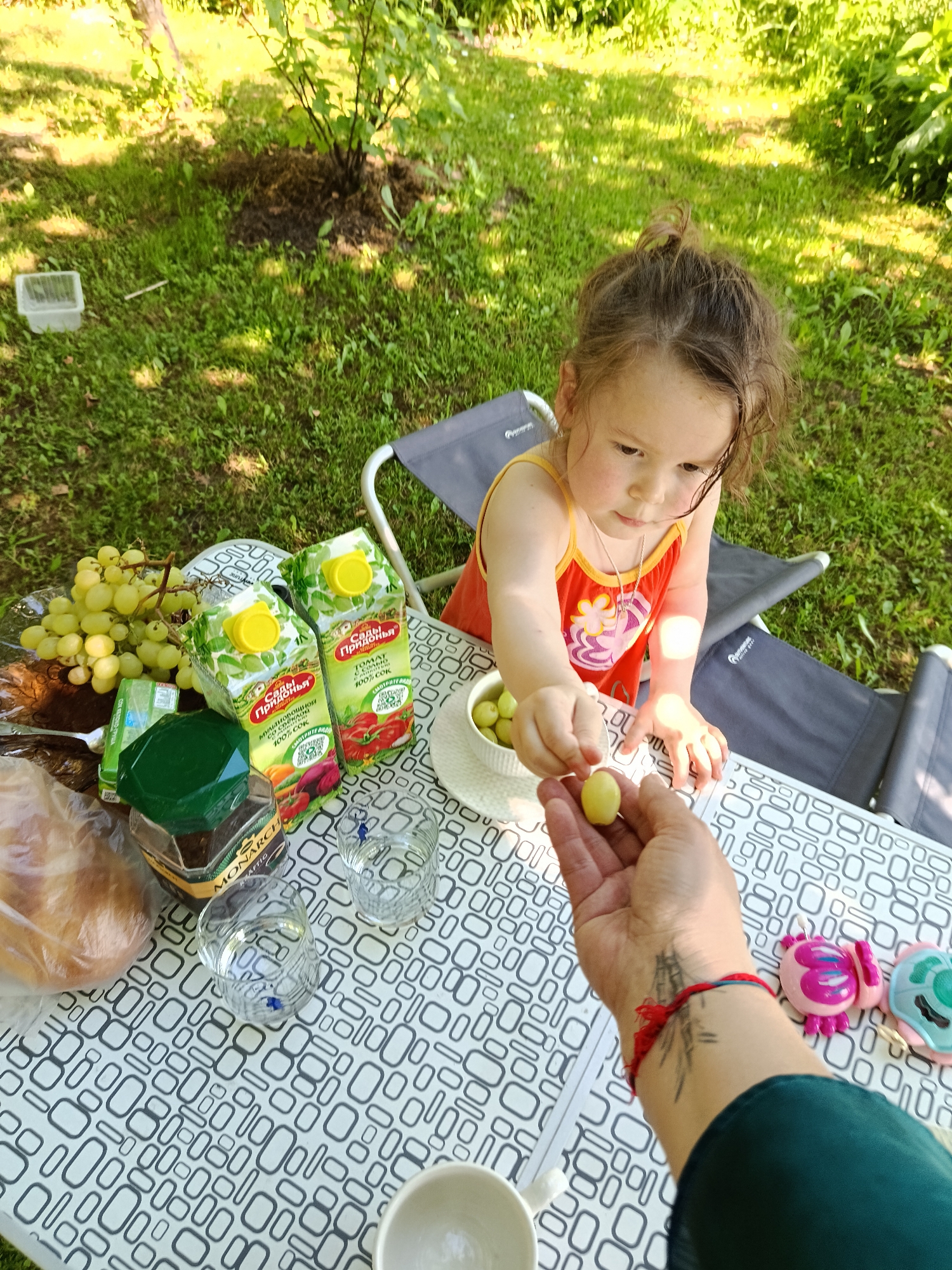 In Shishkin Les, Russia, a young girl with brown hair in a high bun, wearing a red and orange sleeveless dress, sits at a picnic table. She is reaching out to take a grape from an adult's hand, which is also holding a grape. The table is covered with a white tablecloth featuring a black geometric pattern. On the table are two cartons of juice with Russian labels, a jar of coffee, a loaf of bread wrapped in plastic, a bunch of green grapes, two empty glasses, and a bowl of grapes. In the background, a green, leafy bush is visible, and sunlight filters through trees, casting dappled shadows on the grass. Two dark gray folding chairs are positioned behind the table. The scene appears to be a casual outdoor picnic.