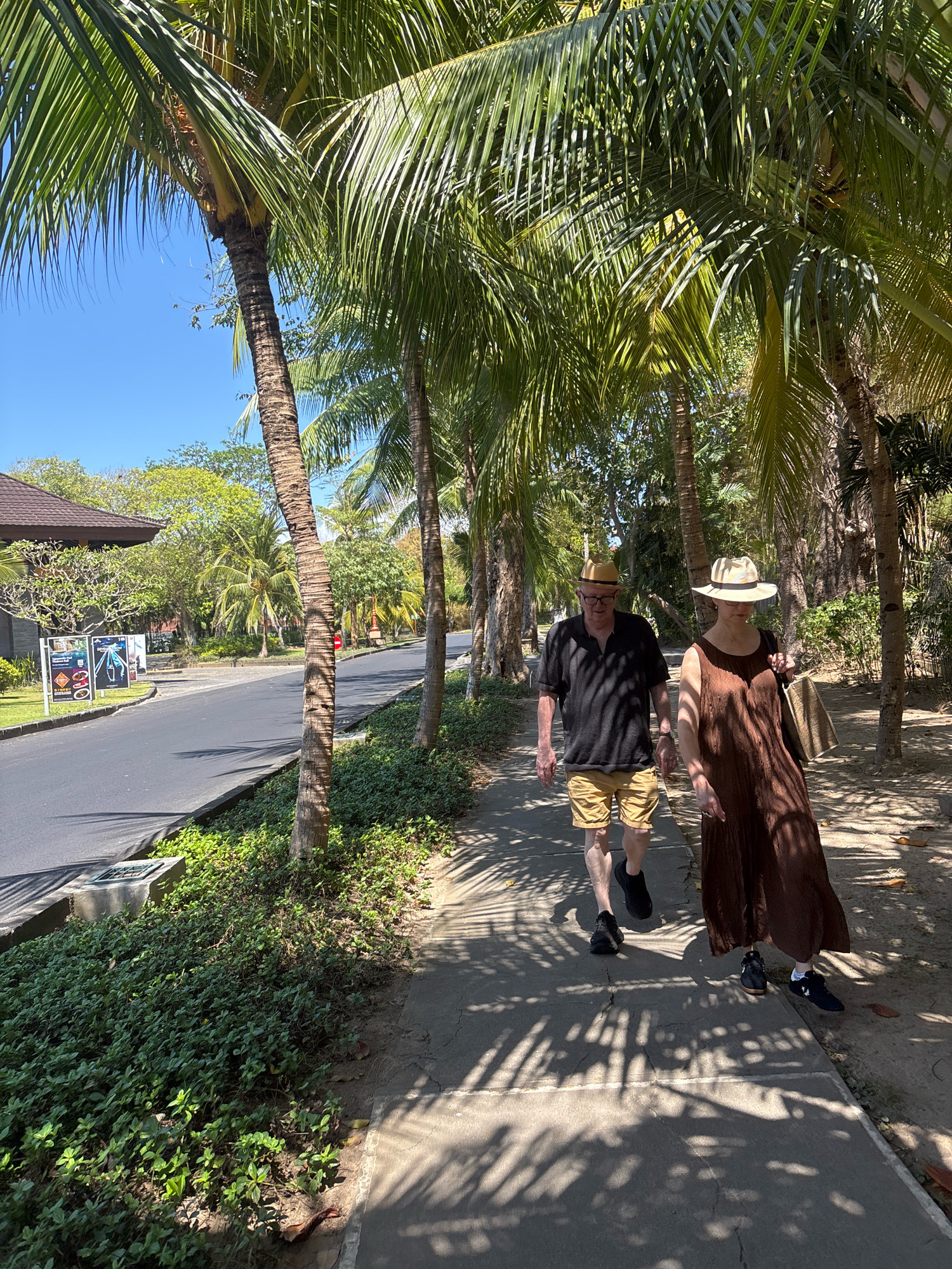 An elderly Caucasian couple, identified as a man and a woman, are walking hand-in-hand on a paved sidewalk lined with palm trees. The man, wearing a dark polo shirt, khaki shorts, glasses, and a light-colored hat, is on the left. The woman, on the right, is wearing a long, dark brown sleeveless dress and a wide-brimmed hat, carrying a straw bag. They are walking away from the viewer, towards the right of the frame.
The environment suggests a tropical location, possibly Kuta Selatan, Indonesia. The sidewalk runs parallel to a road on the left, with a grassy area and a building with a dark tiled roof visible beyond it. The road appears to be asphalt. Dense green foliage and numerous palm trees with their fronds casting dappled shadows on the sidewalk and road create a lush, shaded atmosphere. The sky is clear and blue. The scene is illuminated by bright sunlight.