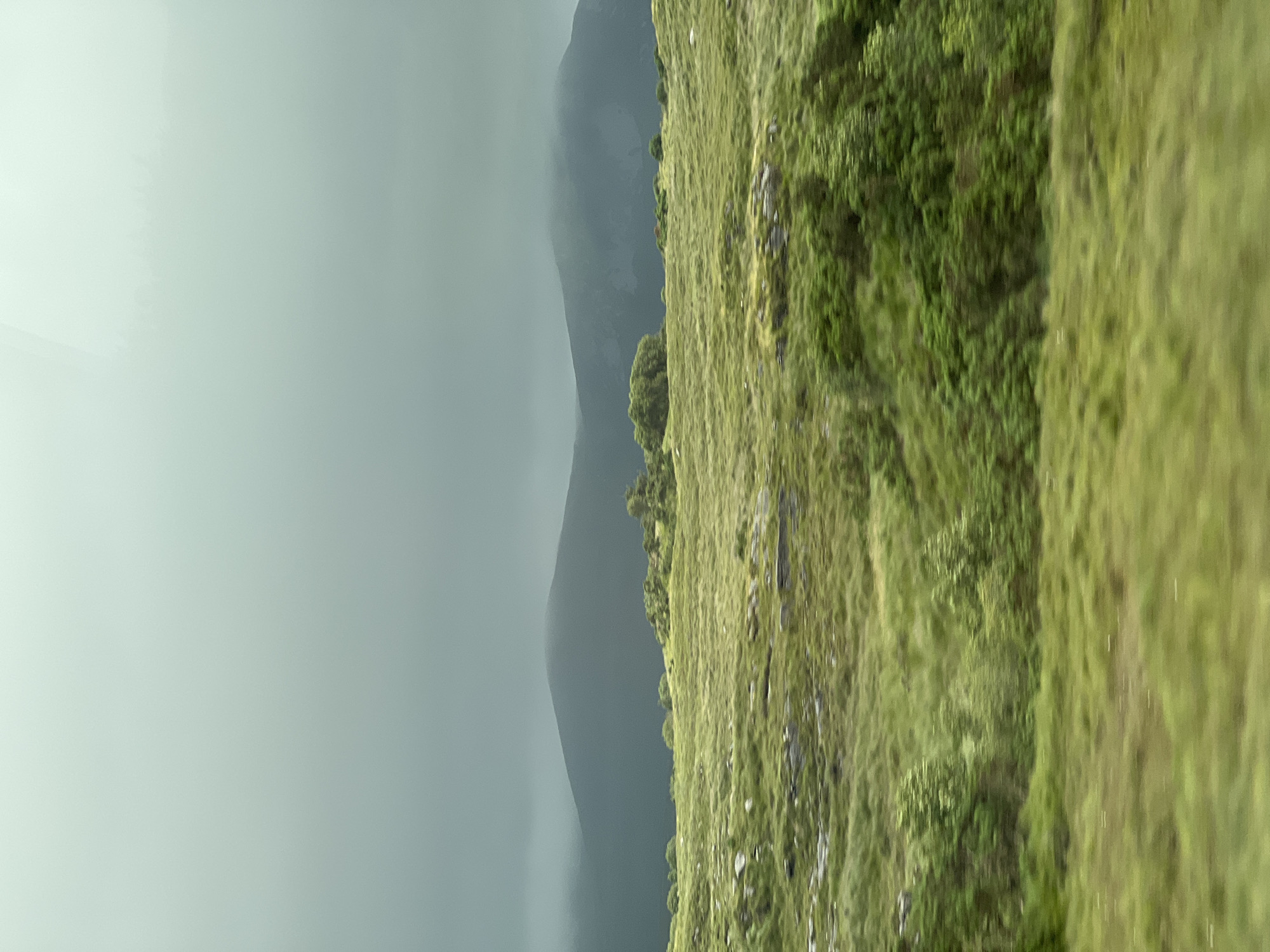 An atmospheric, low-angle shot captures a mountainous landscape under a heavy, overcast sky. The foreground is dominated by rolling green hills covered in grass, with scattered rocks and patches of darker vegetation. In the mid-ground, a line of trees and shrubs adds texture to the undulating terrain. Further in the background, dark, mist-shrouded mountains rise, their peaks obscured by the low-hanging clouds. The scene evokes a sense of quiet and natural beauty, possibly in a rural area like Meenaboy, Ireland, known for its rugged landscapes. There are no people or discernible man-made structures visible in this image.