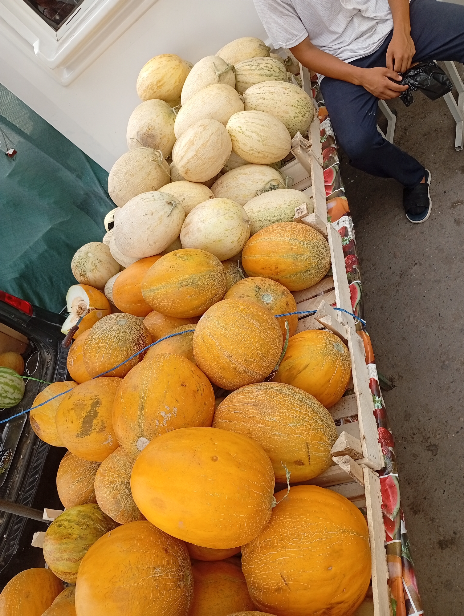 A high-angle, full shot shows a large display of ripe cantaloupes for sale at an outdoor market in Angren, Uzbekistan. The melons are predominantly orange and yellow with some pale green varieties. They are piled high in wooden crates. A person, wearing a white t-shirt and dark pants, sits on a stool to the right, holding a black plastic bag. The market appears to be on a paved surface, with a green tarp visible in the background. The scene captures a typical street-side produce vendor.