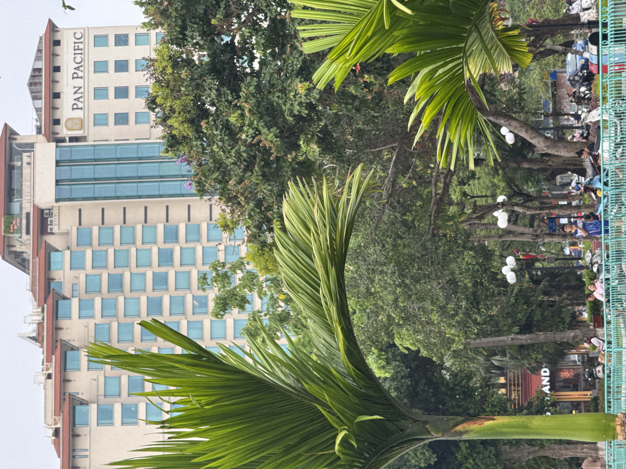 This image captures a street scene in Hanoi, Vietnam, with the Pan Pacific hotel prominently visible in the background. In the foreground, the lush green fronds of a palm tree dominate the left side of the frame, partially obscuring the view of the building. The Pan Pacific hotel is a large, multi-story structure with a beige facade and numerous rectangular blue windows. A smaller, modern tower with blue glass accents is attached to the main building.
The middle ground reveals a park-like setting with a variety of trees and foliage. A bright green metal fence runs horizontally across the lower portion of the image, separating the park from the street. Several people are visible in the park, some sitting on benches and others walking. A few motorcycles are parked in the area, and a blue car can be seen further down the street. Streetlights with white globes are also visible amongst the trees. In the lower left corner, a building with a red roof and signage that reads "...AND" is partially visible. The overall atmosphere suggests a bustling urban environment with elements of nature integrated into the city.