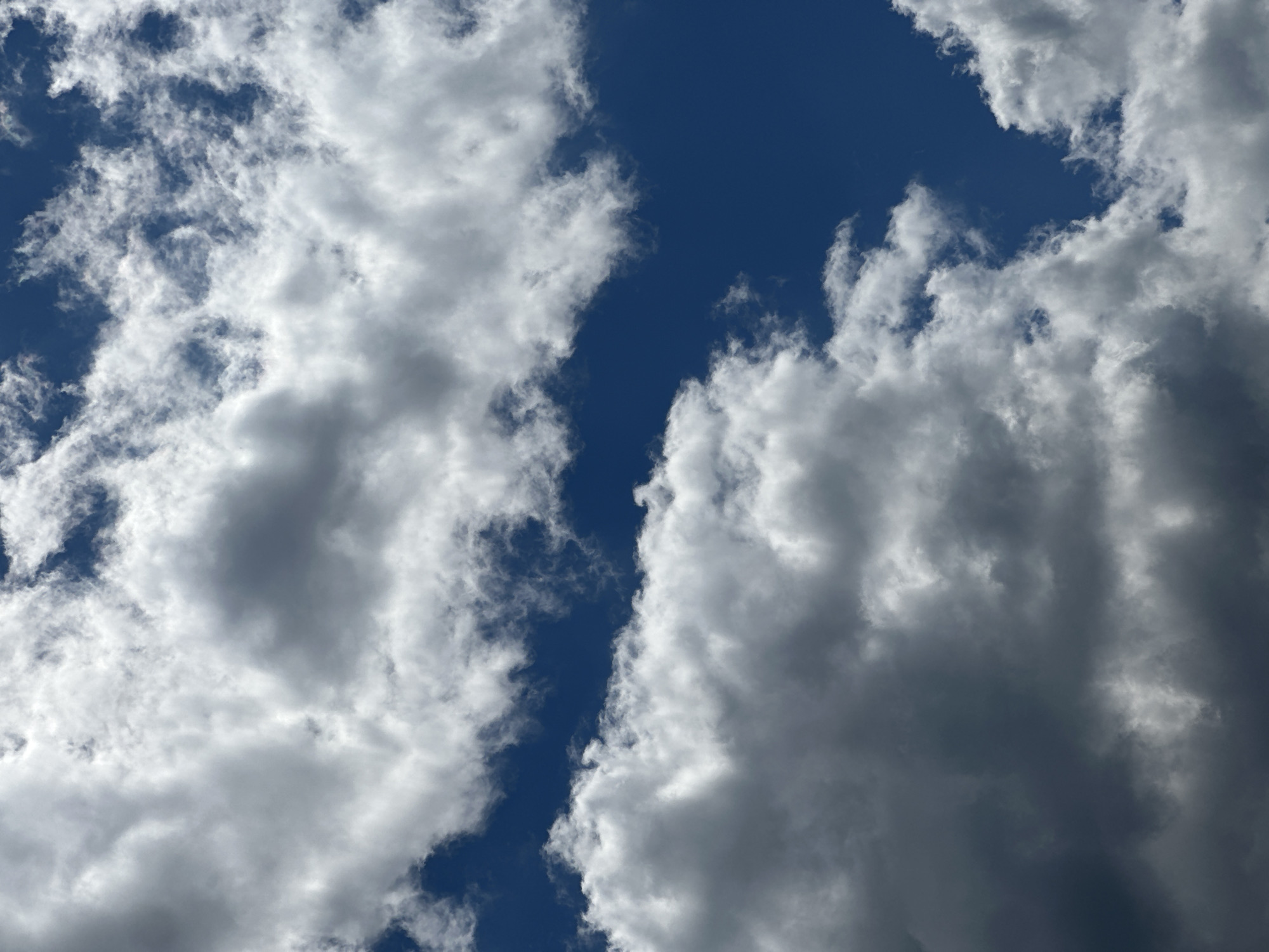 The image captures a vibrant sky scene characterized by a striking interplay of clouds and deep blue sky. Fluffy, bright white clouds, indicative of cumulus formations, dominate the left side and parts of the right, while denser, darker grey clouds are prominent on the right, suggesting varying depths and light absorption. A pronounced, irregular vertical band of clear, intense blue sky cuts through the center of the frame, contrasting sharply with the surrounding cloud masses. Smaller patches of blue sky are also visible peeking through the clouds in other areas. The illumination on the clouds suggests it is daytime. There are no people, man-made objects, or text visible in the frame. The scene presents a natural sky vista, possibly depicting a day with mixed weather conditions, located in Lovech, Bulgaria.