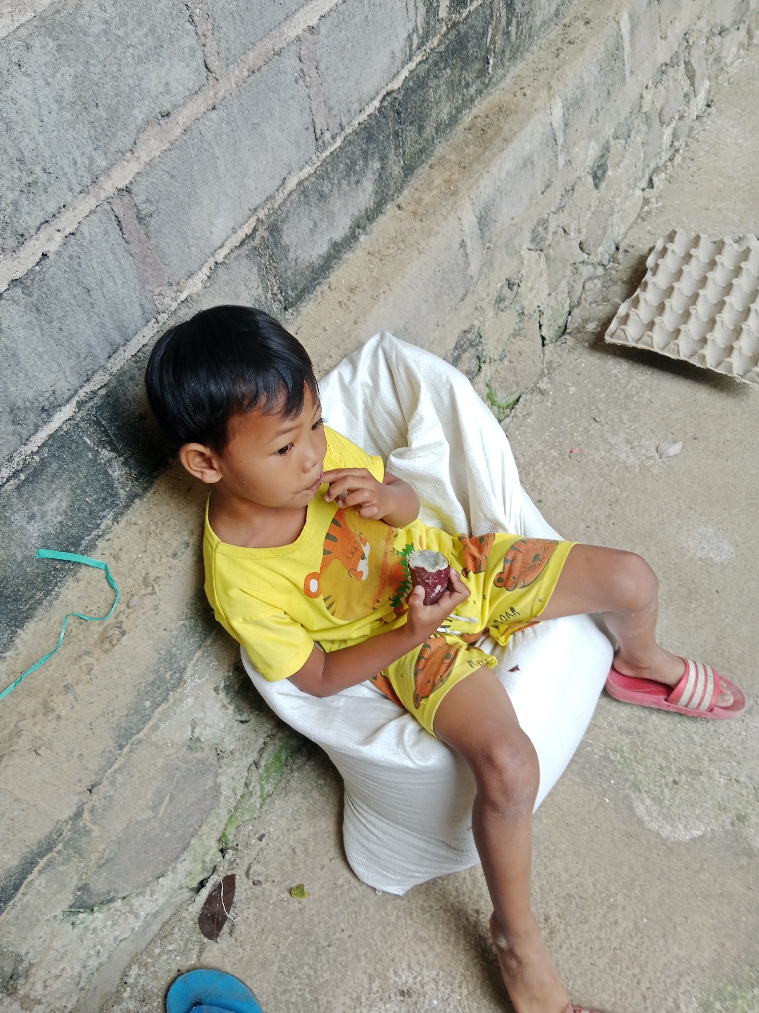 A young boy with dark hair is sitting on a white bag in an outdoor area in Ringinrejo, Indonesia. He is wearing a yellow t-shirt with a tiger graphic and yellow shorts with an orange tiger pattern. He is holding a small, dark object in his right hand and appears to be looking at it. The boy is wearing red and white striped sandals on his right foot. The background consists of a rough, concrete or stone wall and a concrete ground. There is a piece of green string on the ground near the boy, and a cardboard egg carton to his right. The lighting suggests it is daytime.