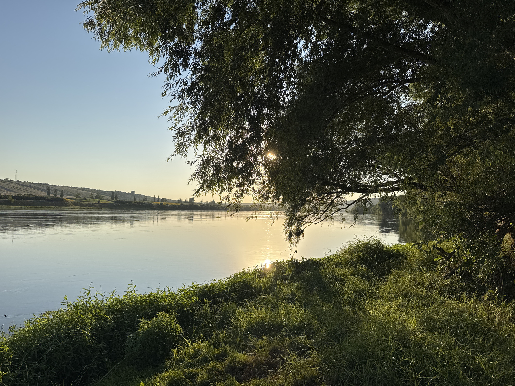 This is a landscape photograph taken at sunset on the Nistru River in Grushka, Moldova. A large willow tree with long, wispy leaves overhangs the foreground, casting shadows and partially obscuring the setting sun. The sun's rays create a shimmering reflection on the calm river surface, which stretches into the distance. On the opposite bank, rolling hills are visible, dotted with trees and fields. The immediate foreground is covered in lush green grass and dense vegetation, illuminated by the golden light of the setting sun. The sky is a clear, soft blue, transitioning to a pale yellow near the horizon. There are no people or animals visible in the image.
