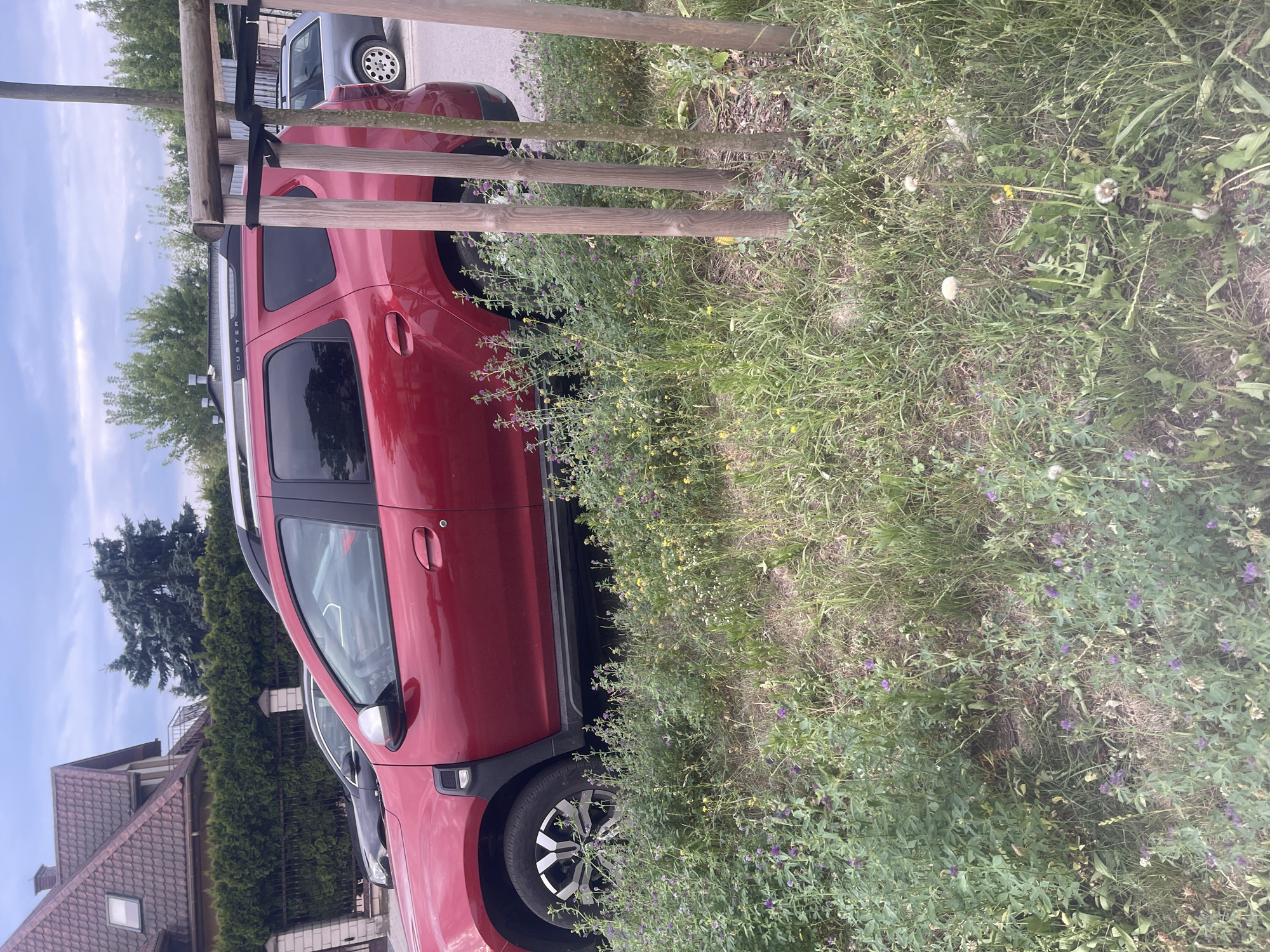 In Konstantynów Łódzki, Poland, a red SUV is parked on a street. The vehicle is positioned at an angle, with its right side facing the viewer and partially obscured by a line of young trees supported by wooden stakes. A grey sedan is parked behind the red SUV, its rear visible. The foreground is covered in a dense growth of green grass and wildflowers, with purple and yellow blossoms interspersed. The background features a residential building with a red-tiled roof, a black metal fence, and evergreen hedges. The sky above is overcast, with a mixture of grey clouds and some lighter patches.