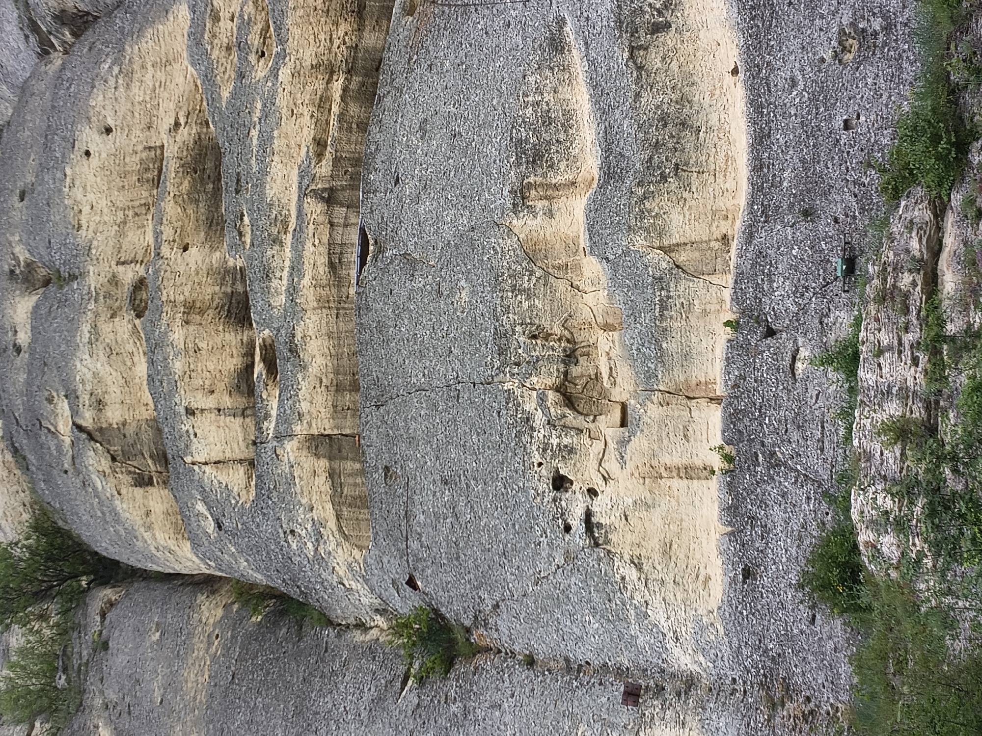 The image shows the Madara Rider rock relief, a large early medieval rock relief carved on the Madara Plateau near the village of Madara in Bulgaria. The relief depicts a horseman, approximately 23 meters above the ground on a nearly vertical 100-meter-high cliff. The rider is thrusting a spear into a lion lying at his horse's feet. A dog is running behind the horseman. The relief is carved into a light-colored sandstone rock face, which is marked by several horizontal fractures and variations in texture and coloration. Vegetation is visible at the base of the cliff and along the edges. A modern path or trail runs along the base. There are some visible holes and metal objects (possibly remnants of climbing equipment) on the cliff face.