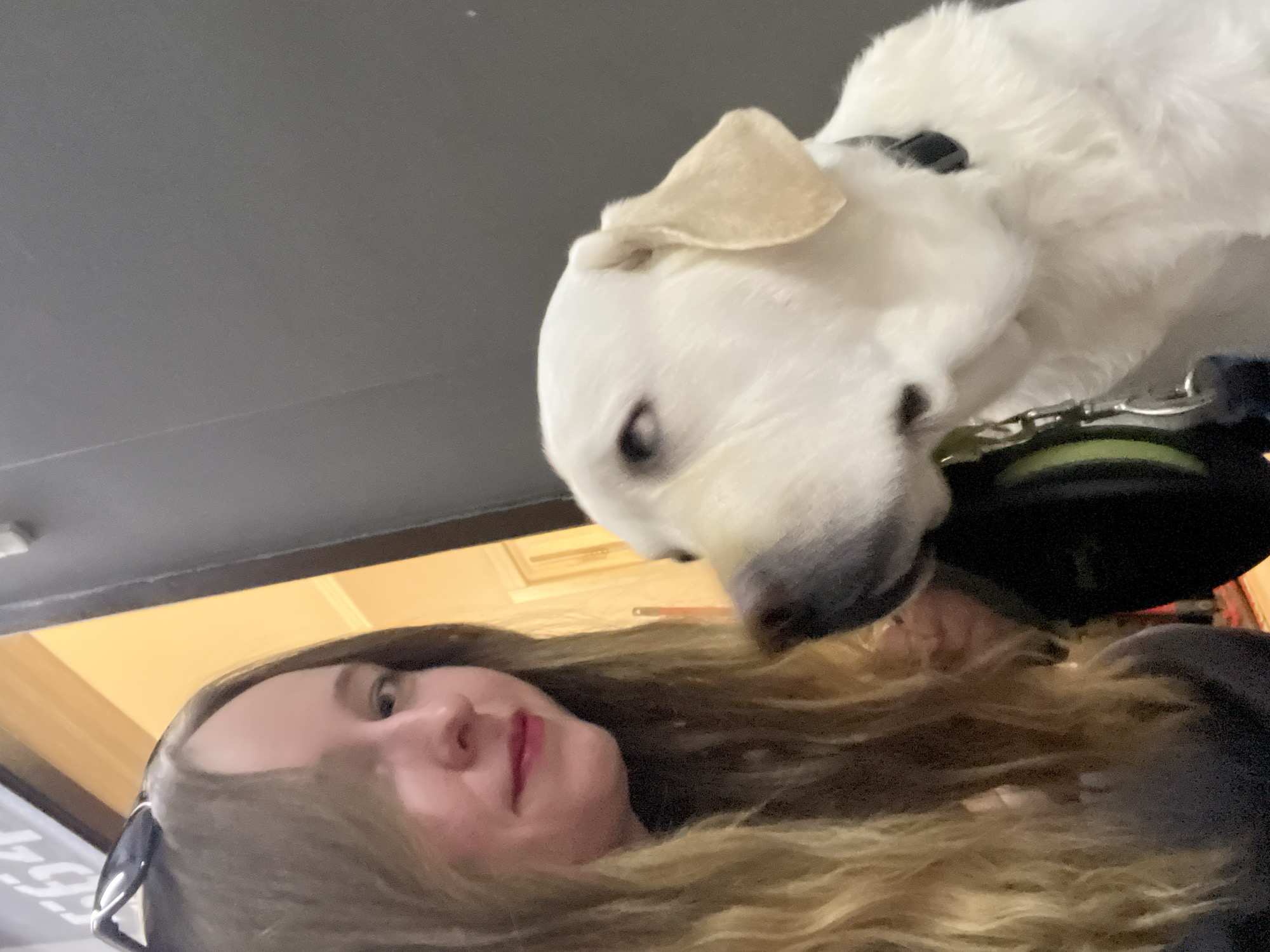 A woman with long, wavy blonde and brown hair is positioned in the lower left corner of the image, facing the camera with a slight smile. Above her and to the right, a white dog with short fur is looking down towards the woman. The dog is wearing a black collar and leash. The background shows an indoor setting with a dark ceiling and a light-colored wall with trim. A partial view of what appears to be sunglasses is visible near the woman's left temple. The location in Mytishchi, Russia cannot be determined from this image.