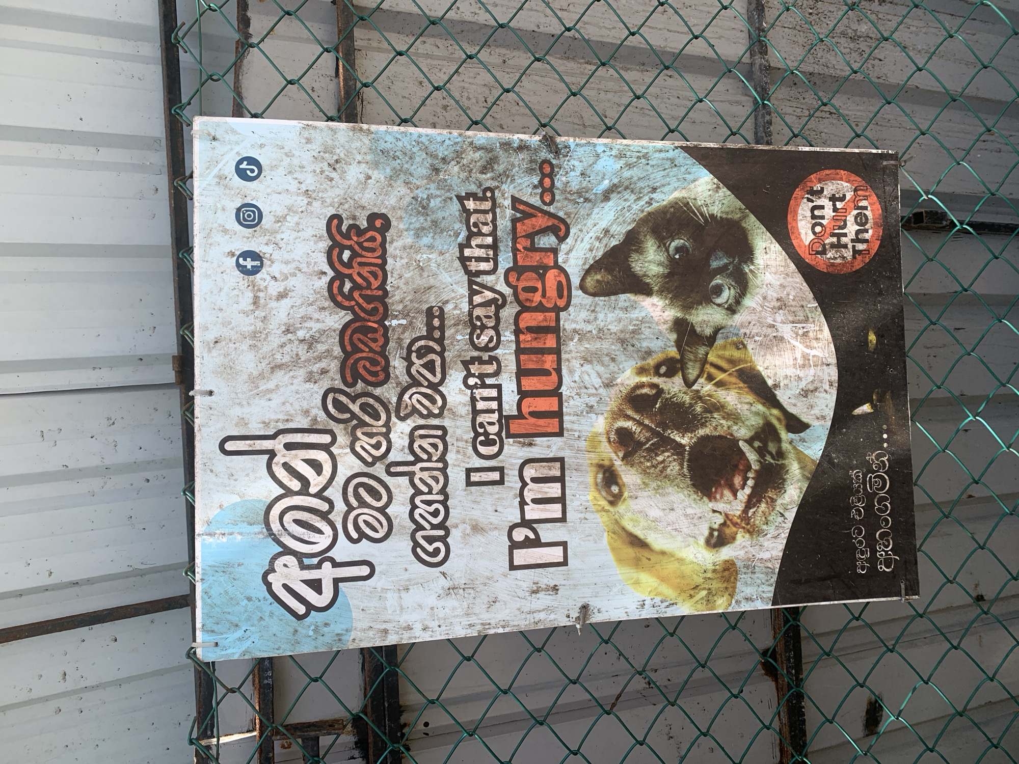 A weathered public awareness sign is depicted in a photograph, attached to a green chain-link fence. The sign, which appears to be oriented vertically, is captured as if rotated 90 degrees clockwise. The background behind the fence consists of a light-colored corrugated metal wall. Bright daylight illuminates the scene, suggesting it is daytime.
The sign advocates for animal welfare, featuring prominent images of a cat and a dog. The cat is shown upside down with wide, startled eyes, while the dog, positioned below it, has its mouth open in what appears to be a bark or pant.
Visible text on the sign includes:
- On the left side (originally the top part of the sign): Social media icons for Pinterest, Instagram, and Facebook.
- Next to the icons, in Sinhala: "අපිට කතා කරන්න බෑ..." which translates to "We can't speak..."
- Below the Sinhala text, in English: "I can't say that. I'm hungry..."
- In the top right corner of the sign (as per its original orientation), a red circular sticker reads: "Don't Hurt Them," with a diagonal line through the words, indicating a prohibition.
- On the bottom right of the sign (as per its original orientation), in Sinhala: "අඳුරට එළියක් අහංගමින්.." which translates to "A light to the darkness Ahangama..", specifically mentioning the location Ahangama, Sri Lanka.
The sign is visibly dirty and worn, suggesting prolonged exposure to the elements. It serves as an appeal for compassion towards animals, particularly those that may be hungry or vulnerable, and warns against harming them.