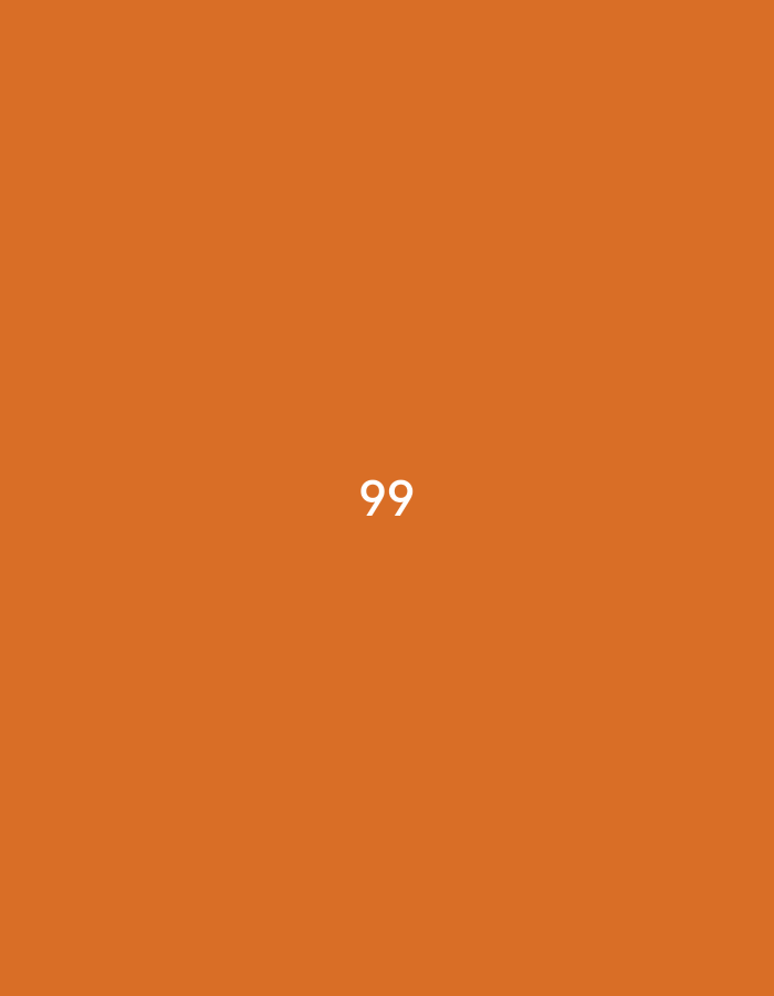 The image displays a uniform, solid orange background. Centered on this background is the numeral "99" rendered in a sans-serif font in white. No discernible individuals, subjects, objects, or environmental features are present. The visual content consists solely of this graphic display. There are no visual cues within the image to indicate a physical location, including the city of Pokrovnik, Bulgaria, or any other geographical setting.