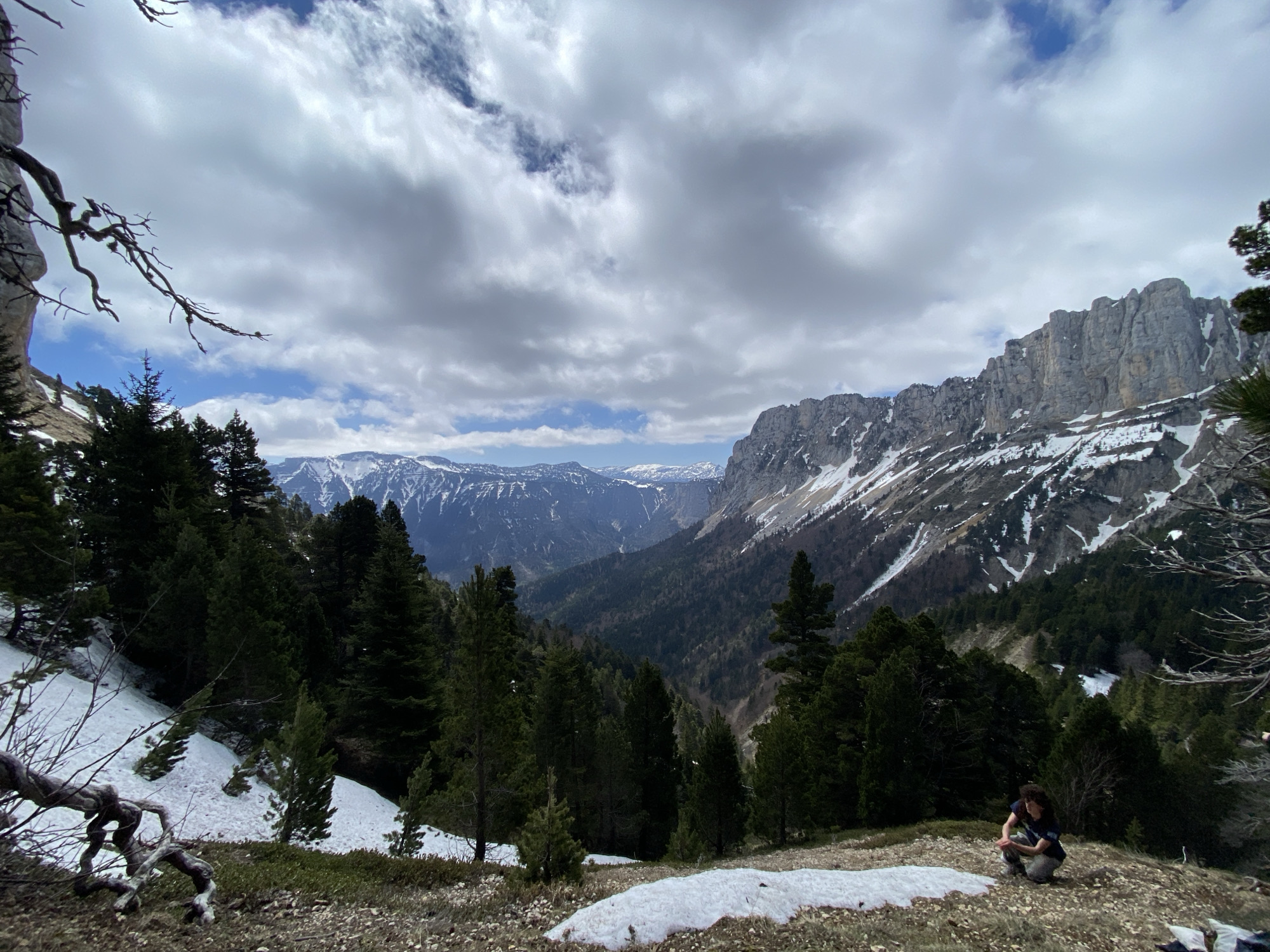 This image presents a panoramic view of a rugged mountainous landscape, characteristic of areas like Chichilianne, France. The scene is dominated by a dramatic sky filled with large, textured grey clouds, interspersed with patches of clear blue sky.
In the foreground, on the left, an old, gnarled tree with bare, twisted branches extends into the frame, partially obscuring a rocky cliff face. The ground in the immediate foreground is sparse with vegetation, featuring patches of melting snow and rocky terrain.
A dense forest of evergreen trees, likely pines or firs, covers the steep slopes that descend into a vast valley, stretching deep into the background. Beyond the valley, a succession of mountain ranges is visible, with distant peaks still covered in snow, contributing to the layered depth of the landscape.
To the right, a prominent, imposing mountain range with sheer grey rock faces and visible snow patches dominates the midground. The snow on these slopes appears partially melted, indicating a season like late spring or early summer.
In the lower right corner, a person with dark, curly hair is seen crouching on the rocky, snow-dusted ground, facing towards the expansive mountain and valley view. They are wearing a dark shirt and light-colored trousers, appearing contemplative or resting amidst the natural grandeur.
The time of day appears to be daytime, with diffused light filtering through the clouds. There is no visible text in the image. The overall impression is one of immense natural beauty, solitude, and rugged wilderness.