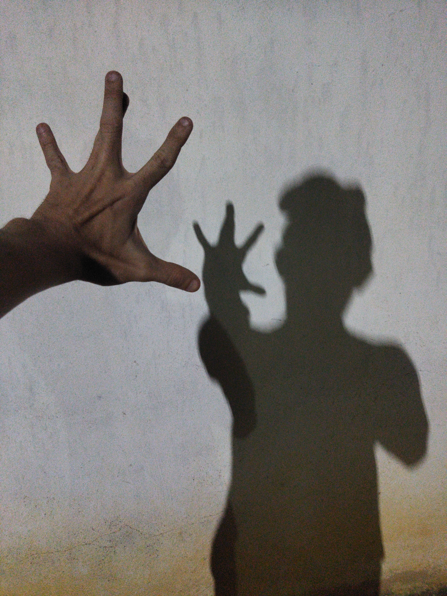 A person's hand is held up to the left of a wall casting a shadow of the person on the wall. The wall has a lighter shade on the top portion of the wall and a darker shade at the bottom. The location is Tinaquillo, Venezuela.