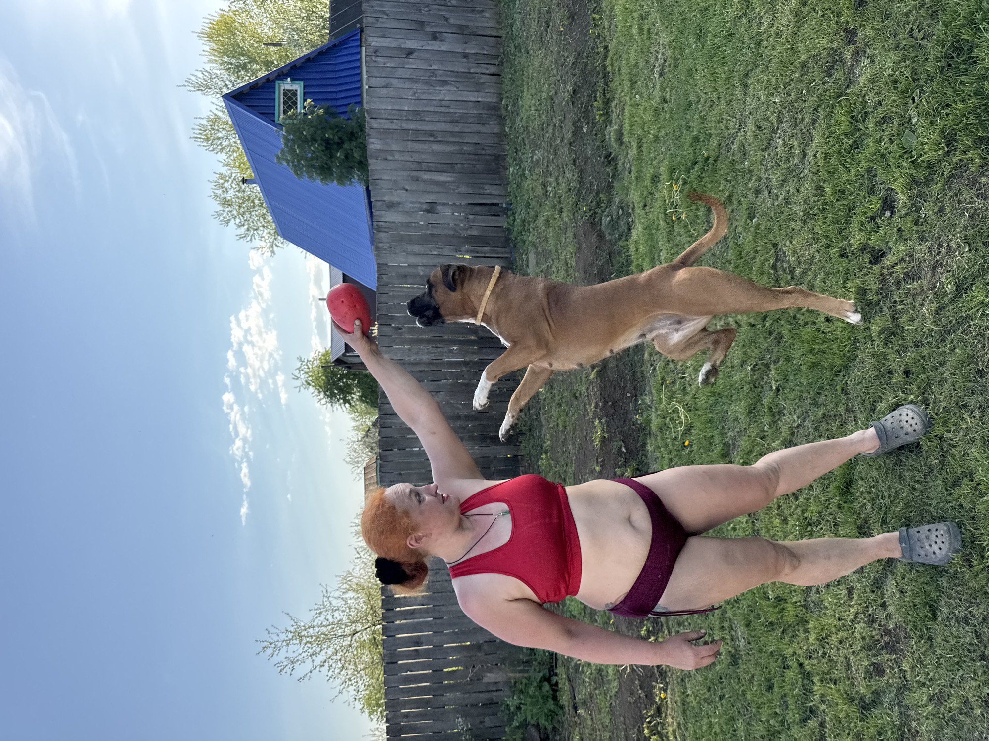 A woman with red hair in a red sports bra and purple underwear stands on a green lawn, throwing a red ball. A brown dog with white paws and a yellow collar leaps to catch the ball. Behind them is a wooden fence and a small blue building with a white-framed window. The sky is blue with scattered white clouds. This appears to be a residential area. I cannot confirm the location in Chaikovsky, Russia.